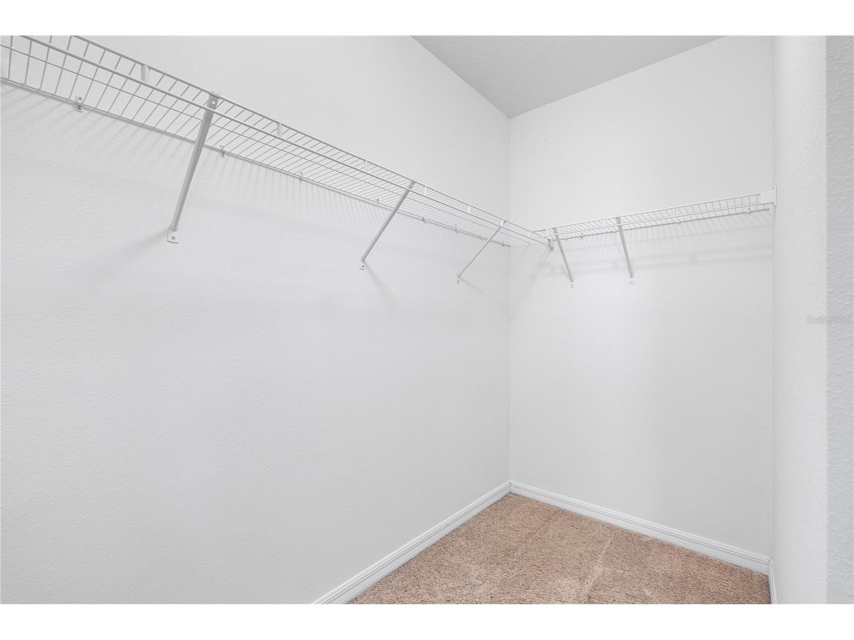 3518 San Moise Place Plant City FL 33567 TB8526367 image30