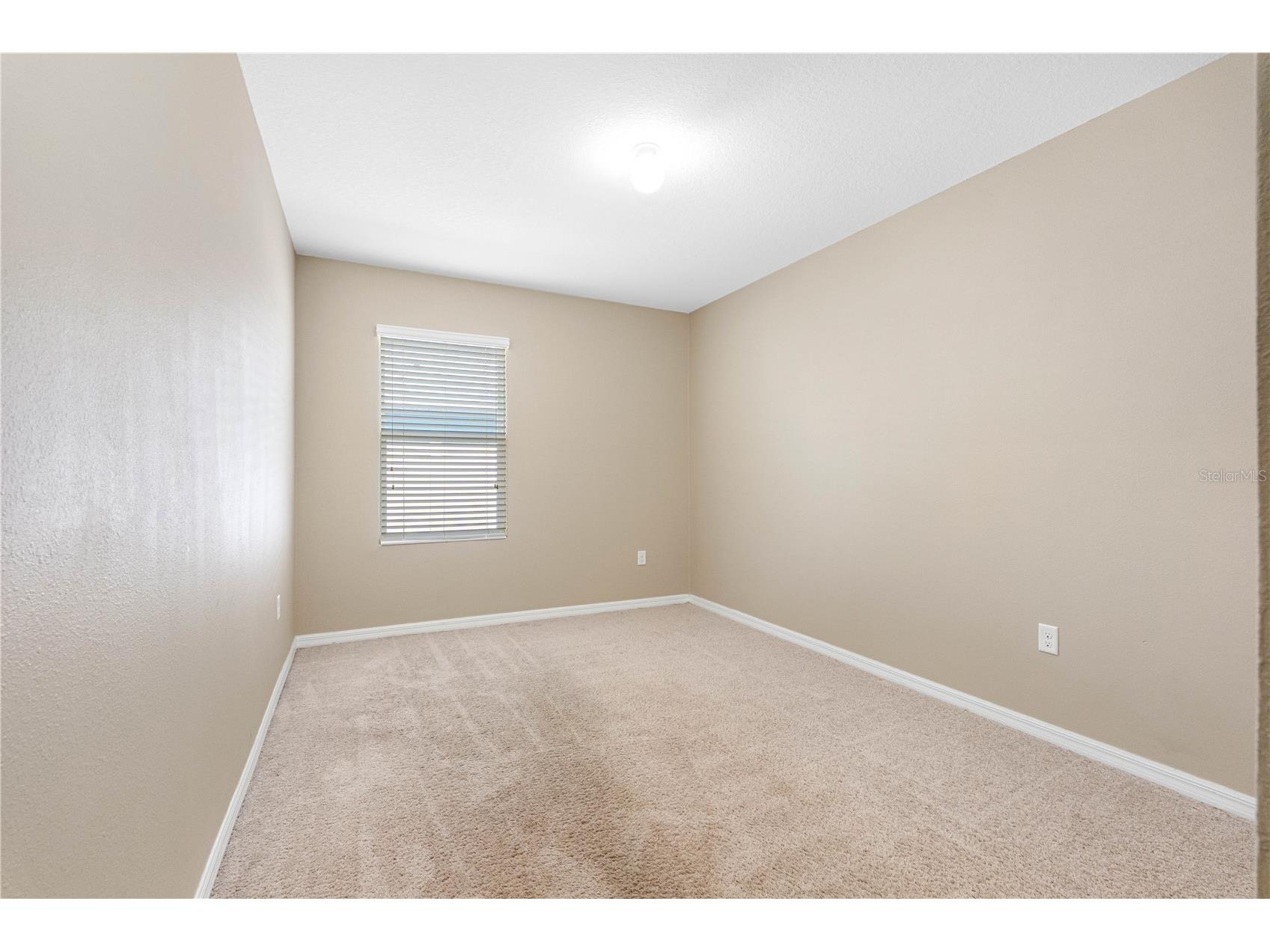 3518 San Moise Place Plant City FL 33567 TB8526367 image34