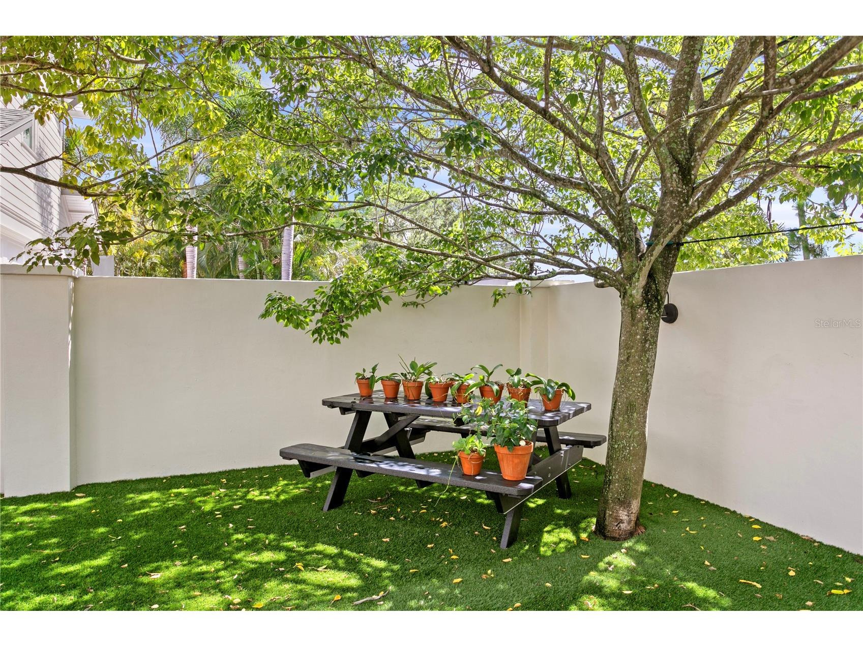 3518 W San Miguel Street N Tampa FL 33629 TB8515417 image49