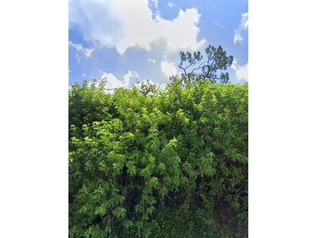 3518 Yarrow Street Port Charlotte FL 33981 C7489043 image1