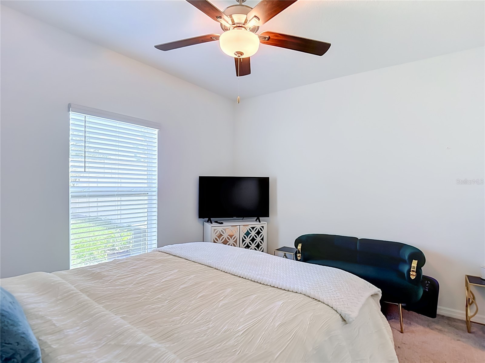 35186 Ackley Trace Zephyrhills FL 33541 TB8514843 image30