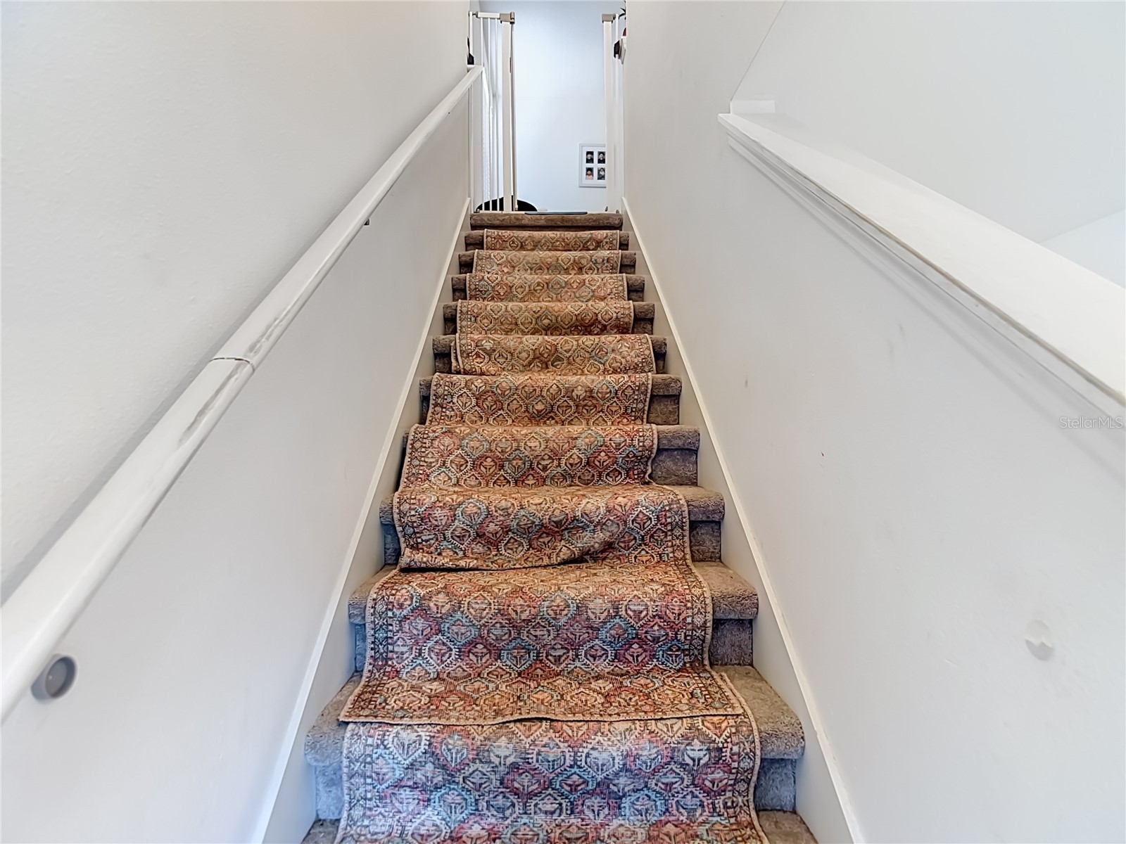 35186 Ackley Trace Zephyrhills FL 33541 TB8514843 image37
