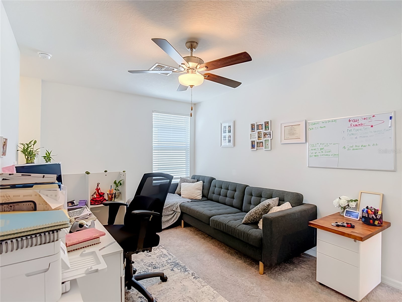 35186 Ackley Trace Zephyrhills FL 33541 TB8514843 image38