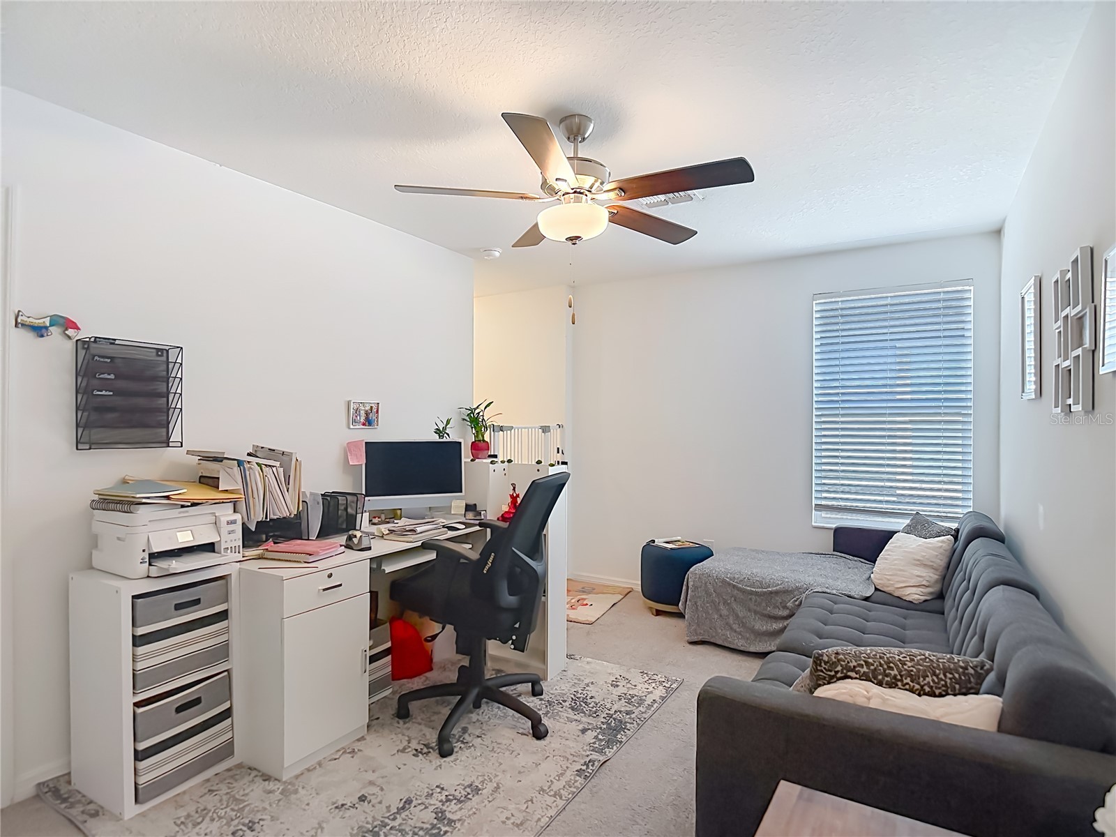 35186 Ackley Trace Zephyrhills FL 33541 TB8514843 image39
