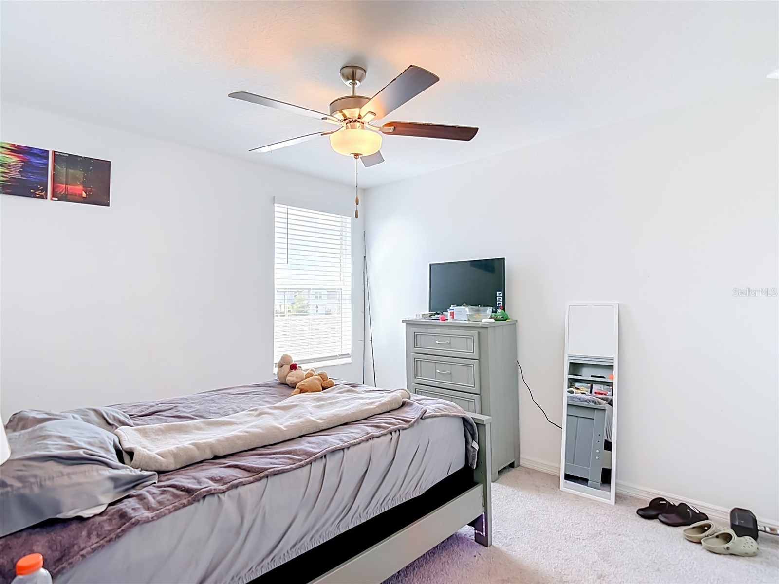 35186 Ackley Trace Zephyrhills FL 33541 TB8514843 image42