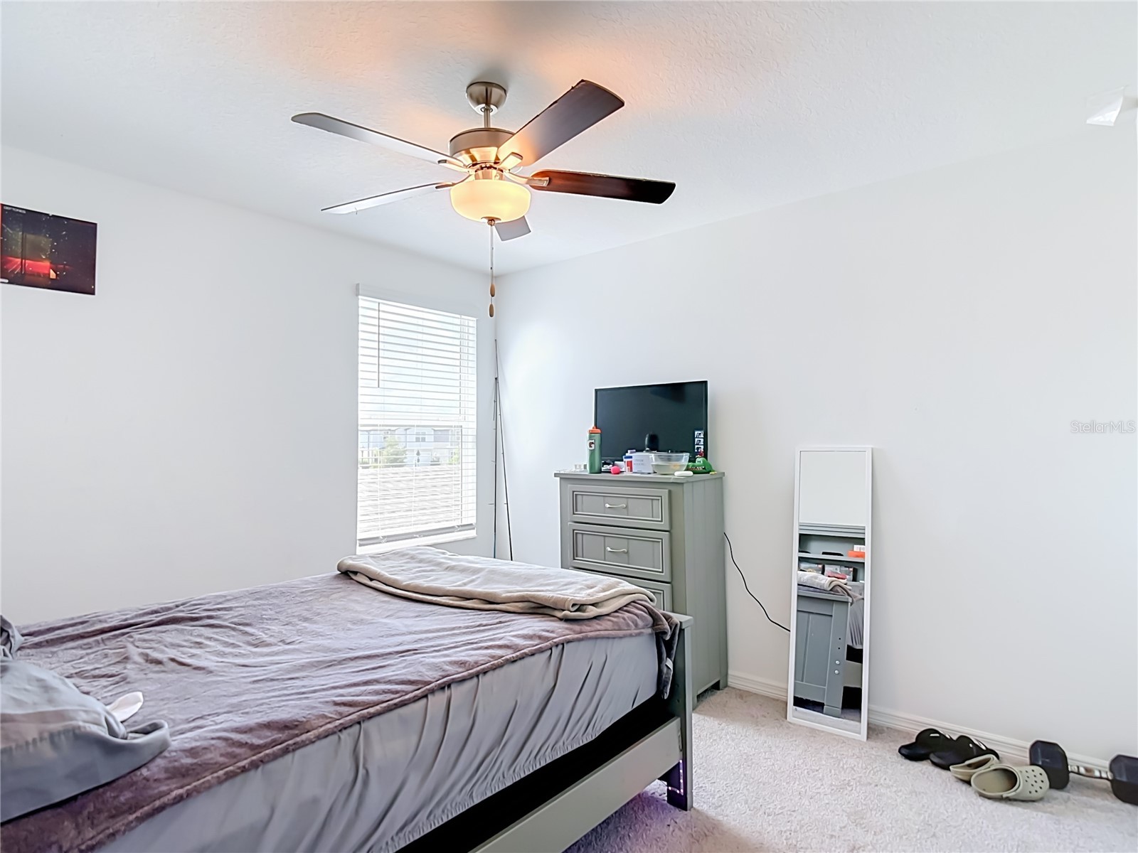 35186 Ackley Trace Zephyrhills FL 33541 TB8514843 image43