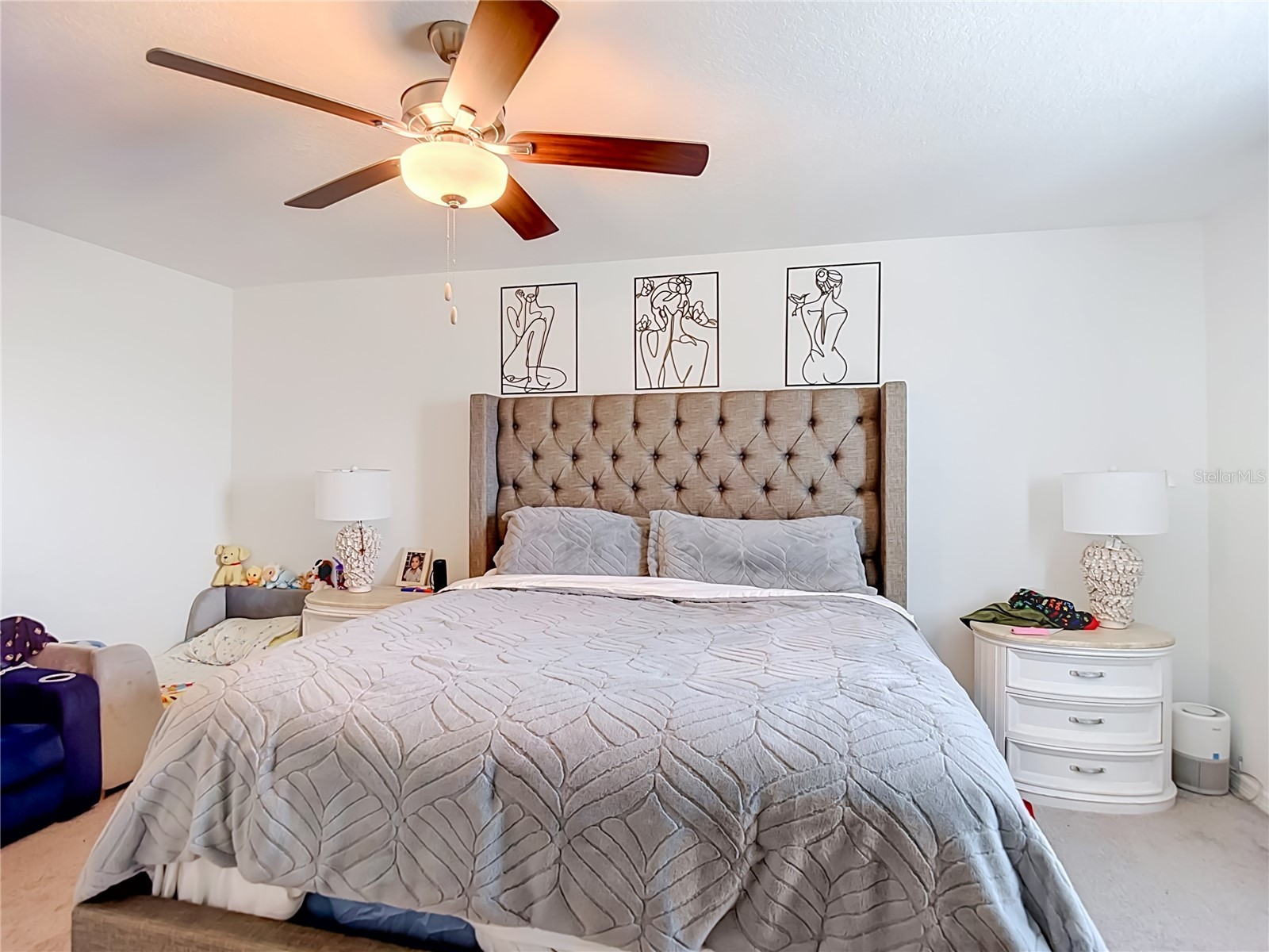 35186 Ackley Trace Zephyrhills FL 33541 TB8514843 image56