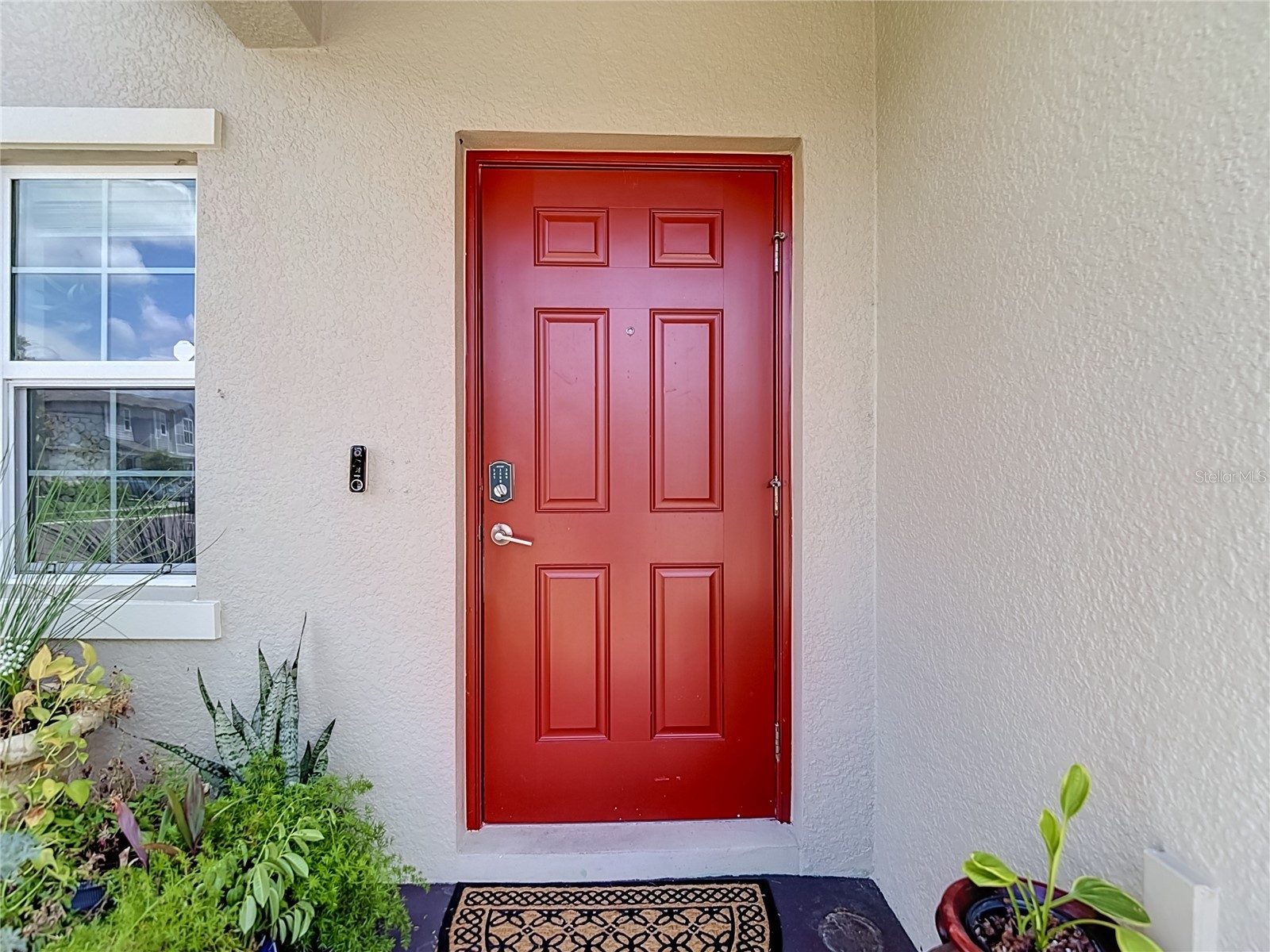 35186 Ackley Trace Zephyrhills FL 33541 TB8514843 image6