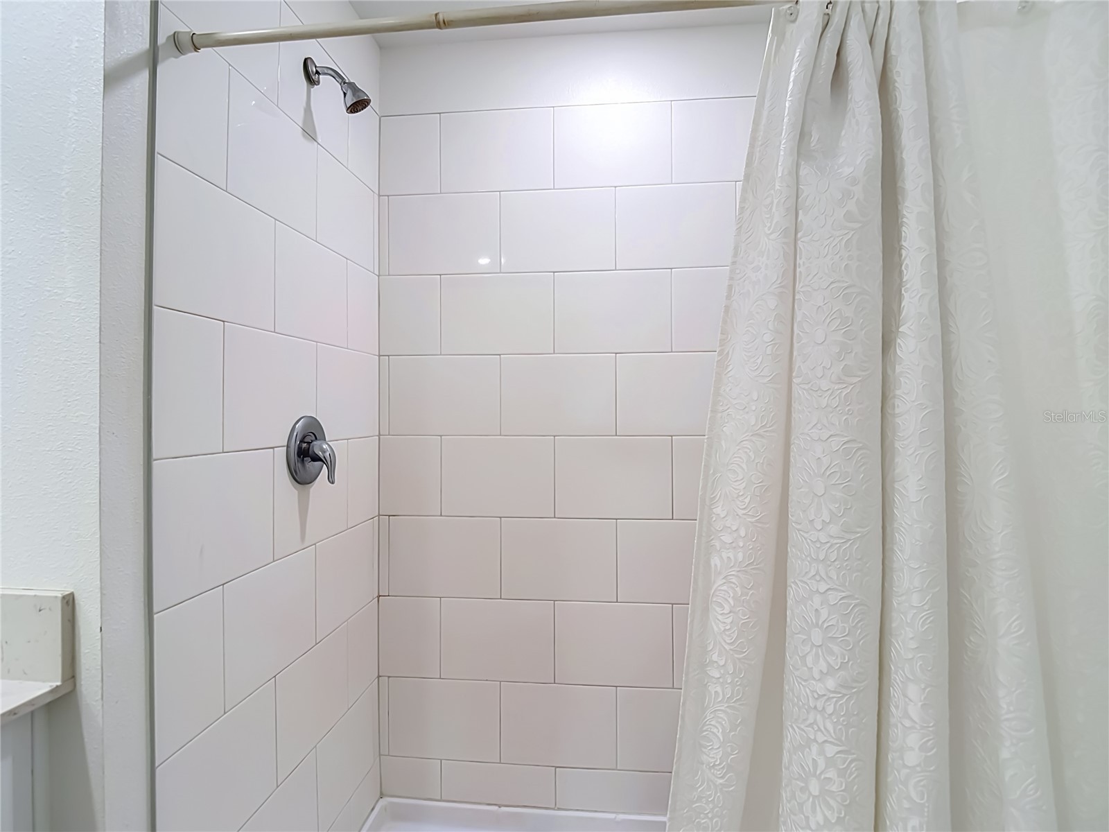 35186 Ackley Trace Zephyrhills FL 33541 TB8514843 image61