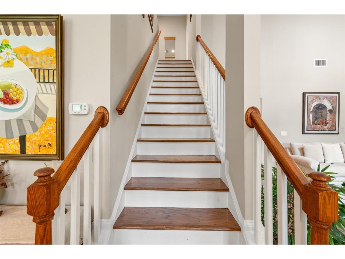 3519 Heards Ferry Drive Tampa FL 33618 TB8400808 image14