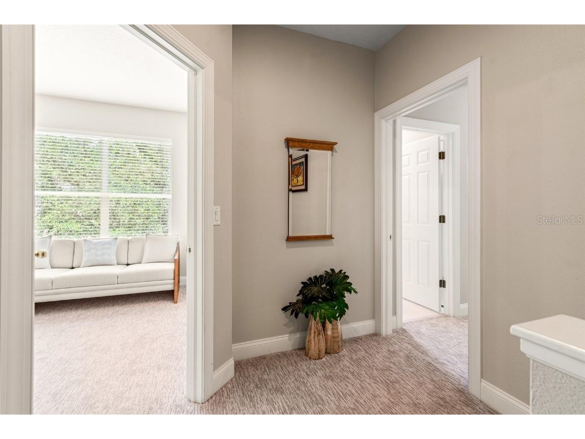 3519 Heards Ferry Drive Tampa FL 33618 TB8400808 image15