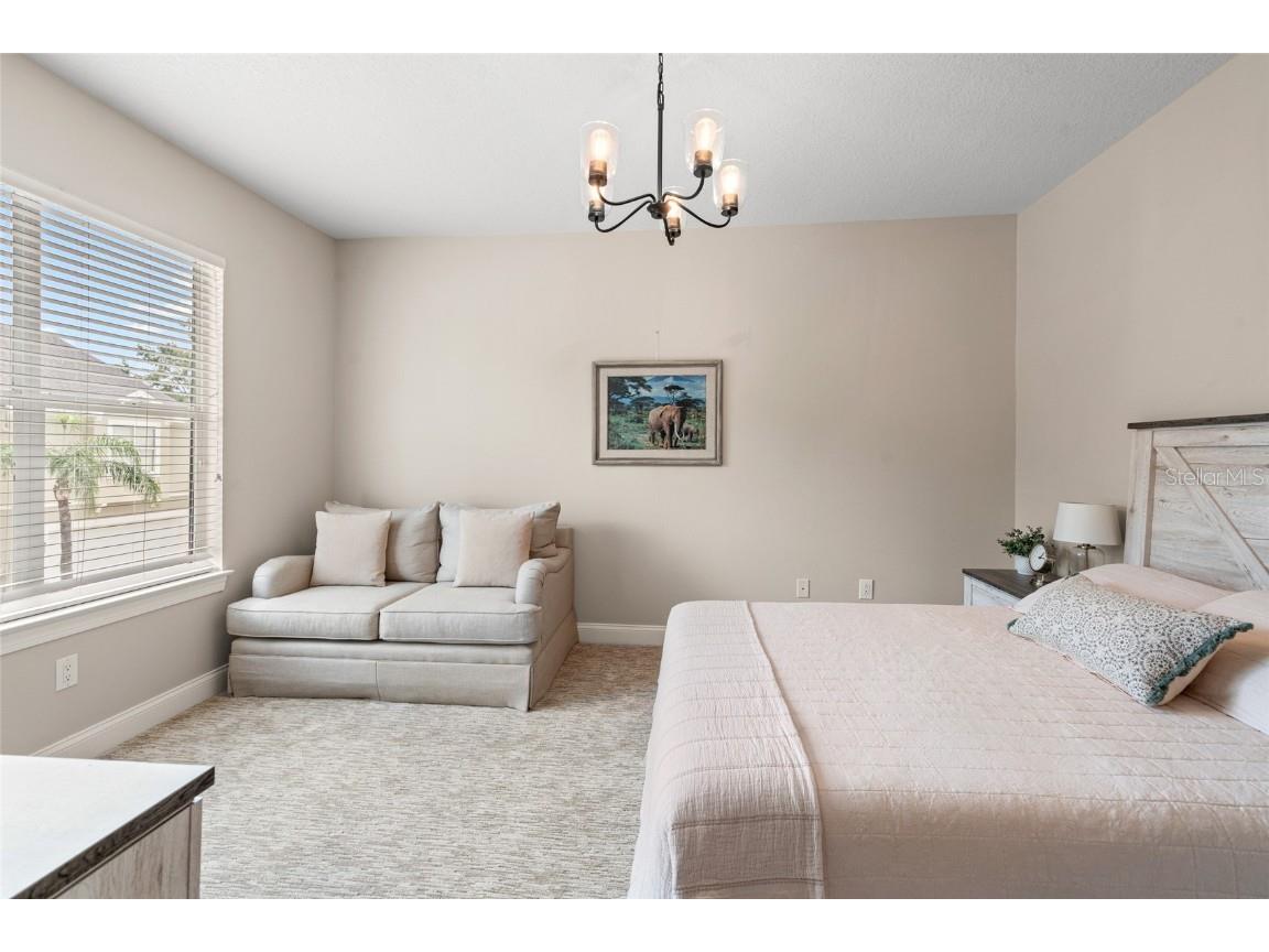 3519 Heards Ferry Drive Tampa FL 33618 TB8400808 image20