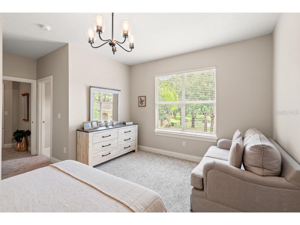 3519 Heards Ferry Drive Tampa FL 33618 TB8400808 image21