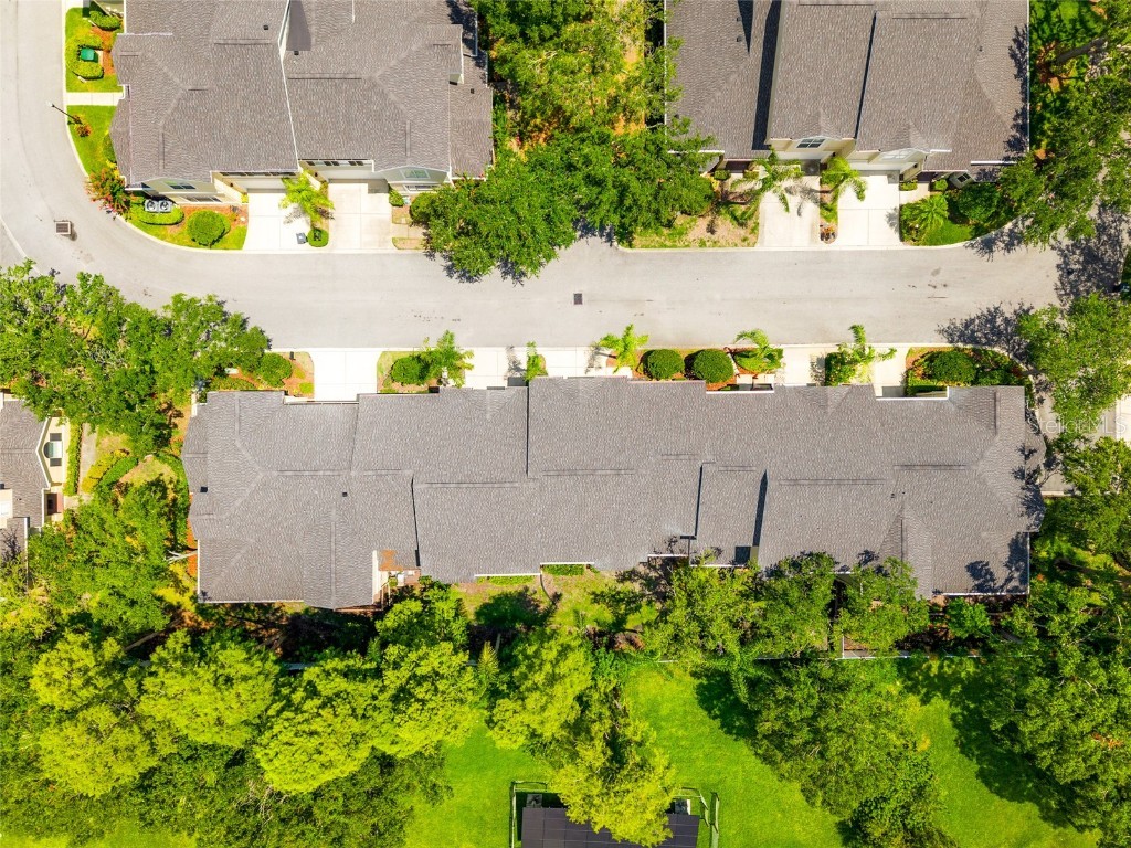 3519 Heards Ferry Drive Tampa FL 33618 TB8400808 image31