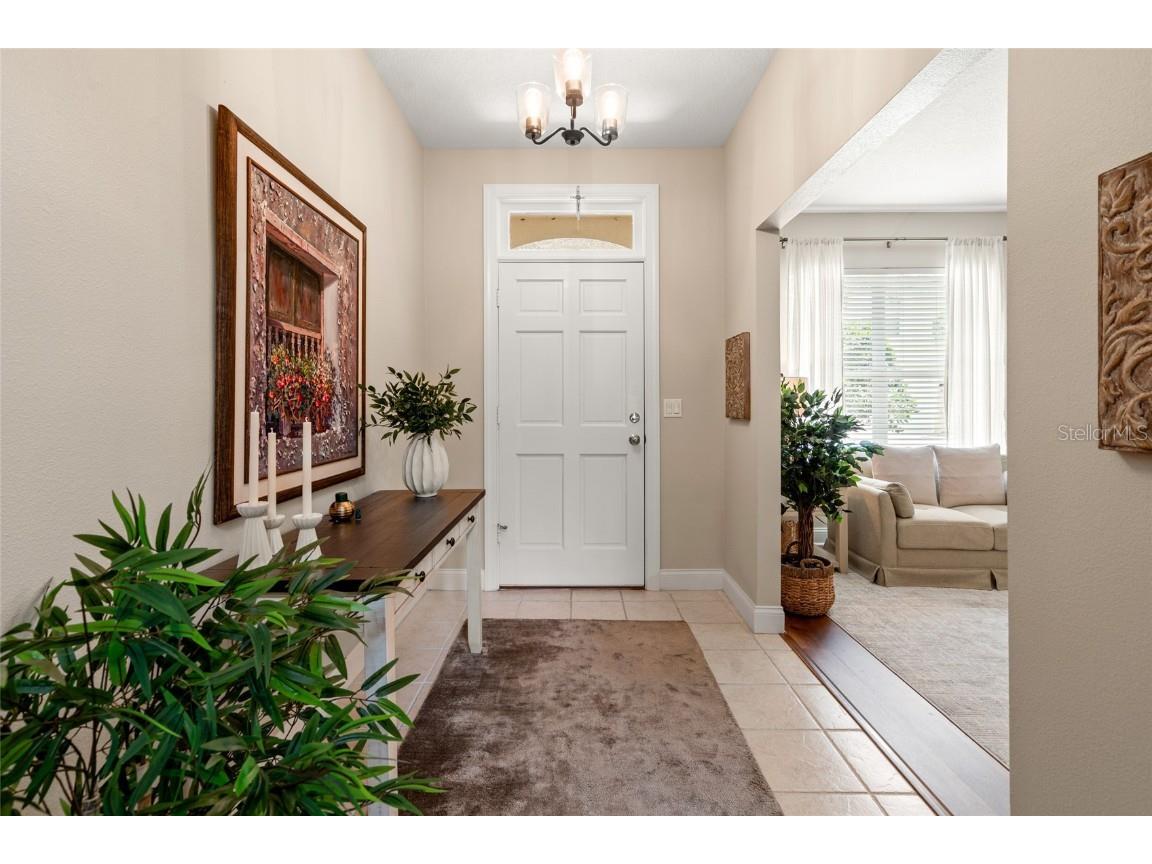 3519 Heards Ferry Drive Tampa FL 33618 TB8400808 image4