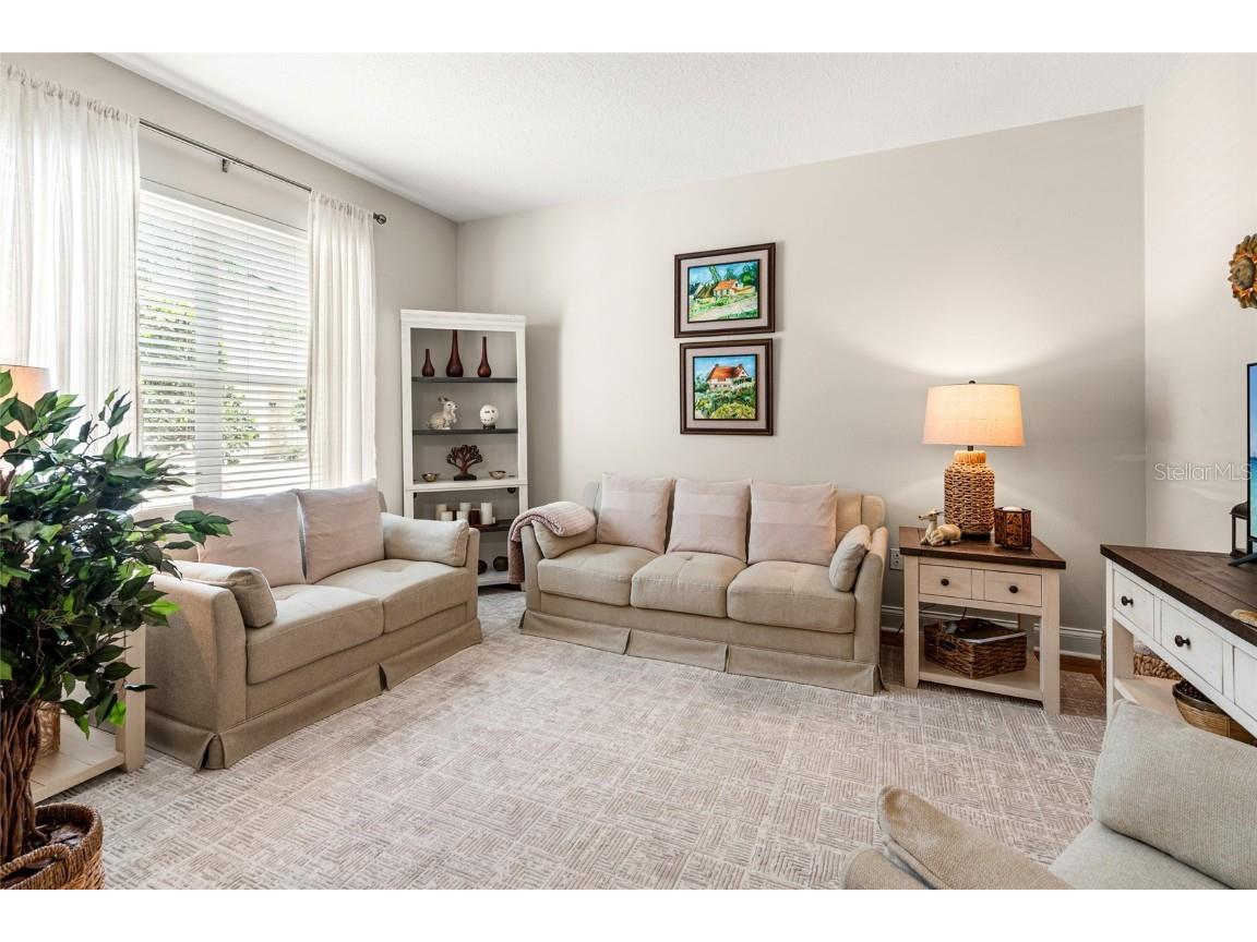 3519 Heards Ferry Drive Tampa FL 33618 TB8400808 image5