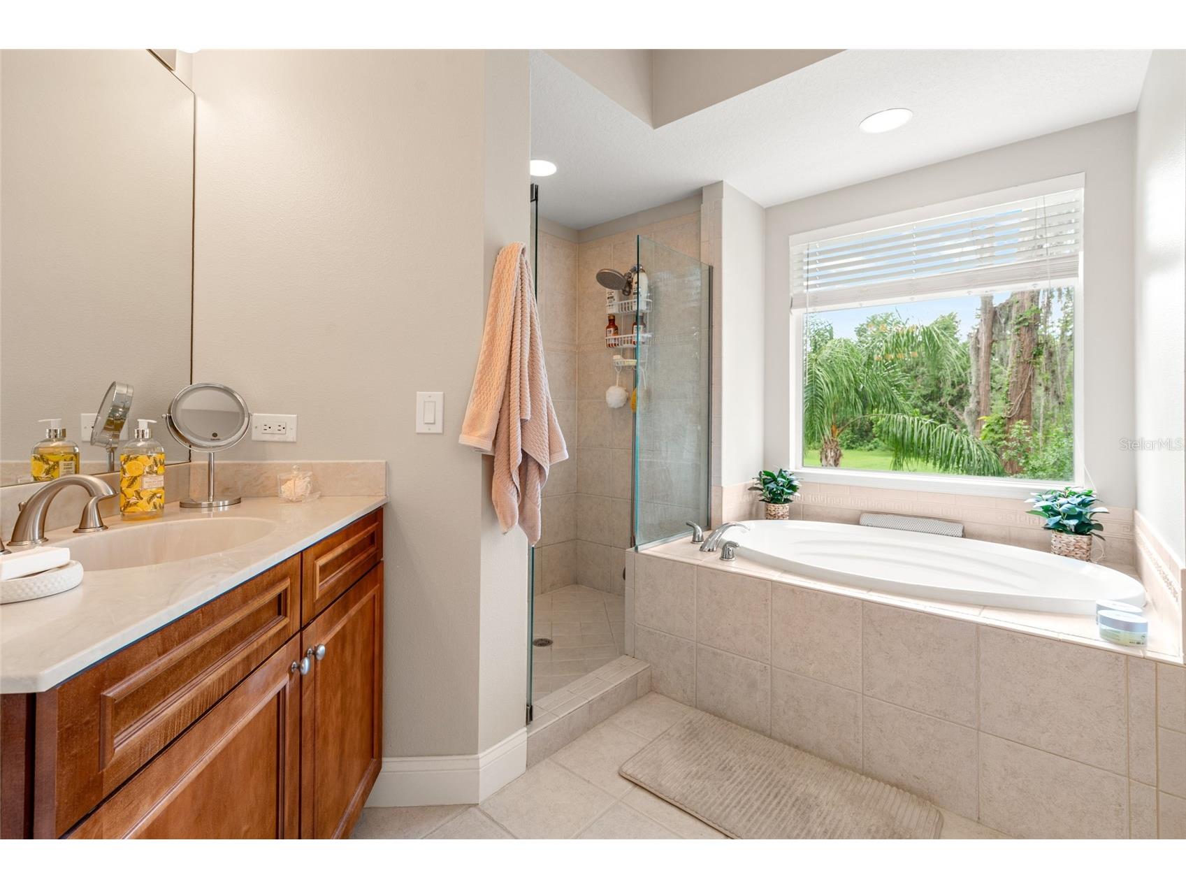 3519 Heards Ferry Drive Tampa FL 33618 - Lake Ellen TB8498936 image12