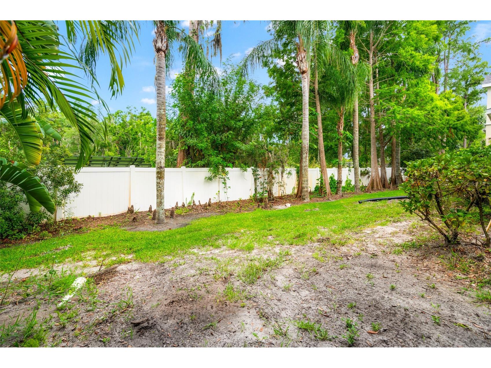 3519 Heards Ferry Drive Tampa FL 33618 - Lake Ellen TB8498936 image17