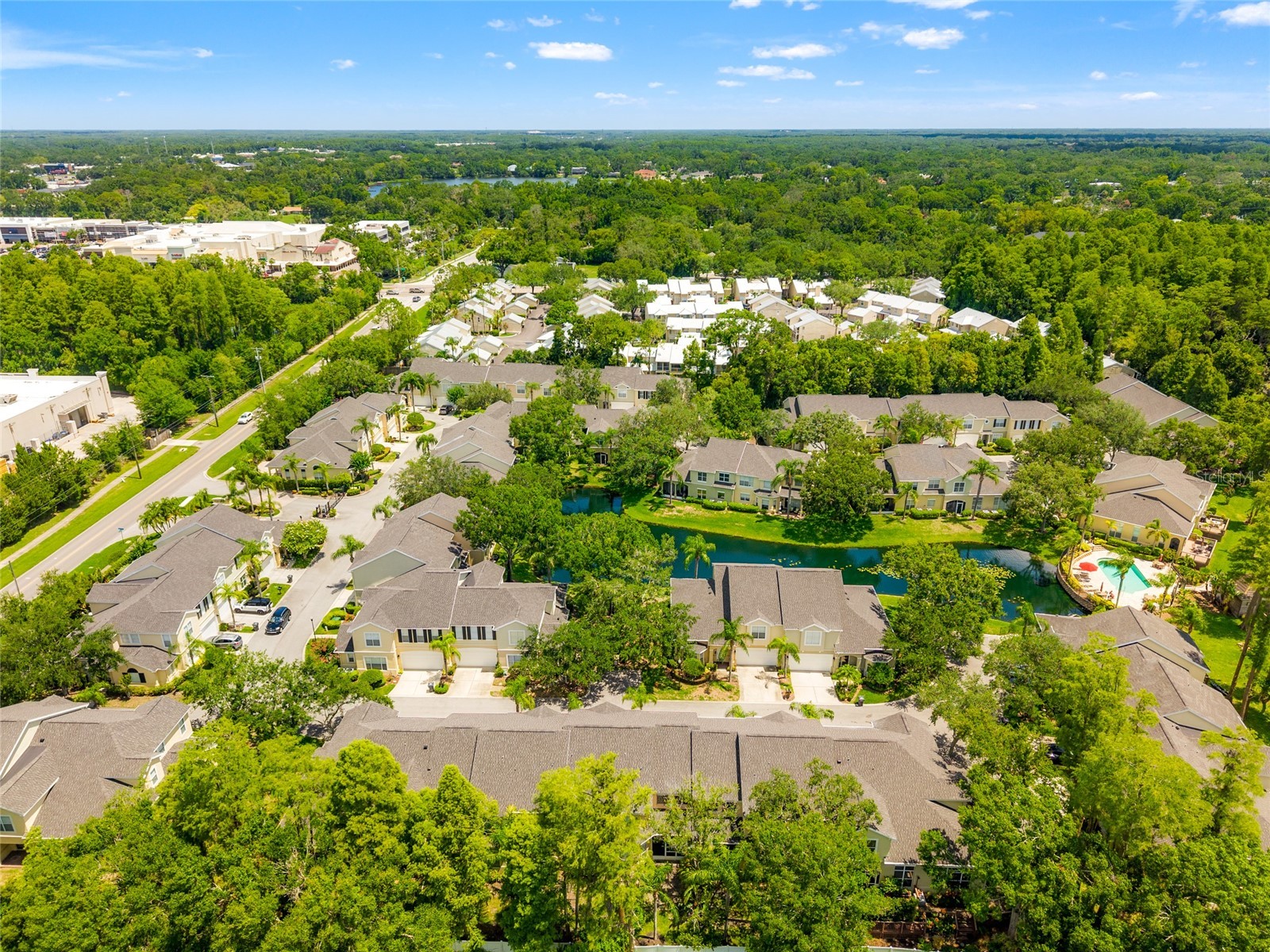 3519 Heards Ferry Drive Tampa FL 33618 - Lake Ellen TB8498936 image19