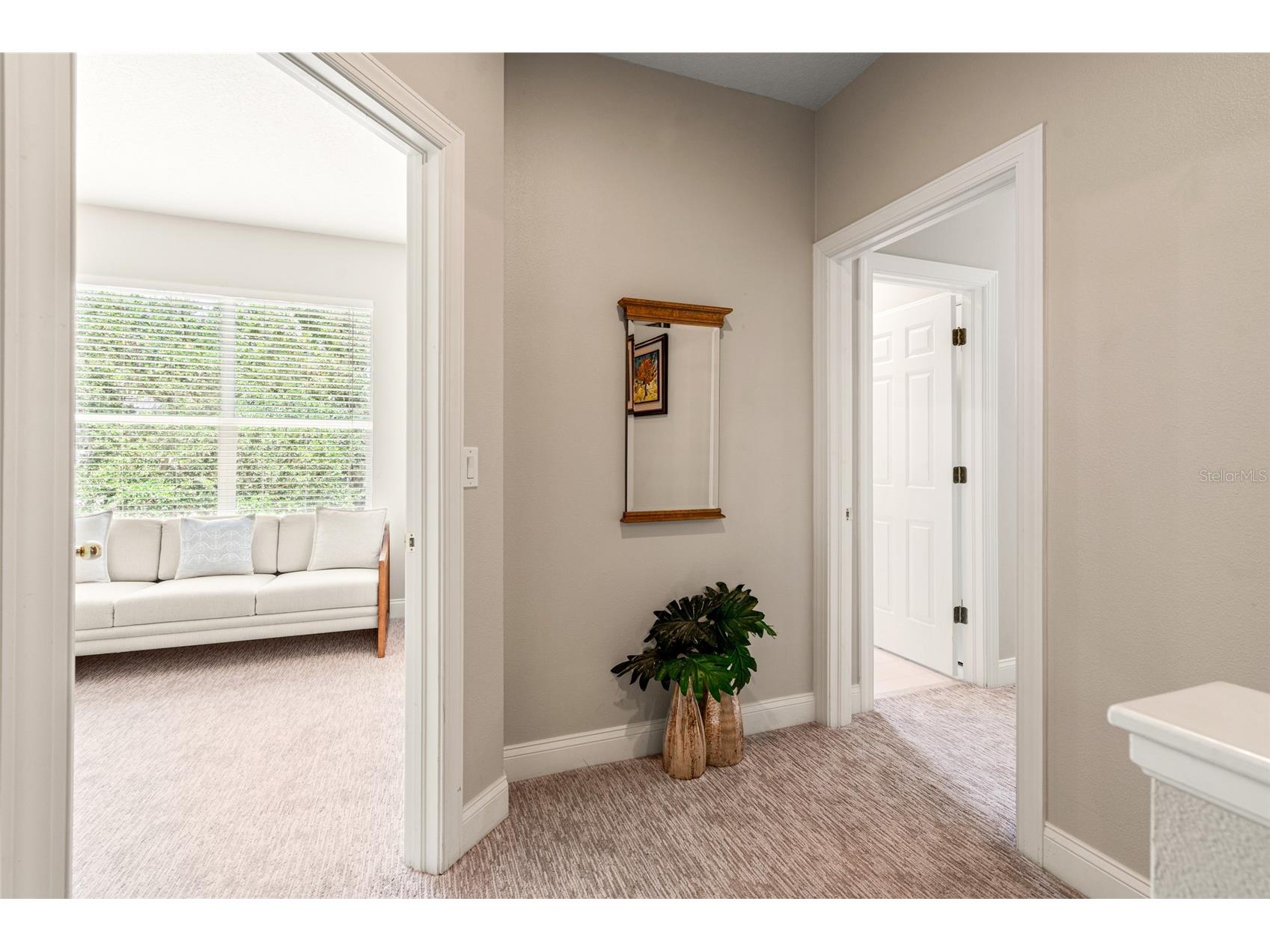 3519 Heards Ferry Drive Tampa FL 33618 - Lake Ellen TB8498936 image43