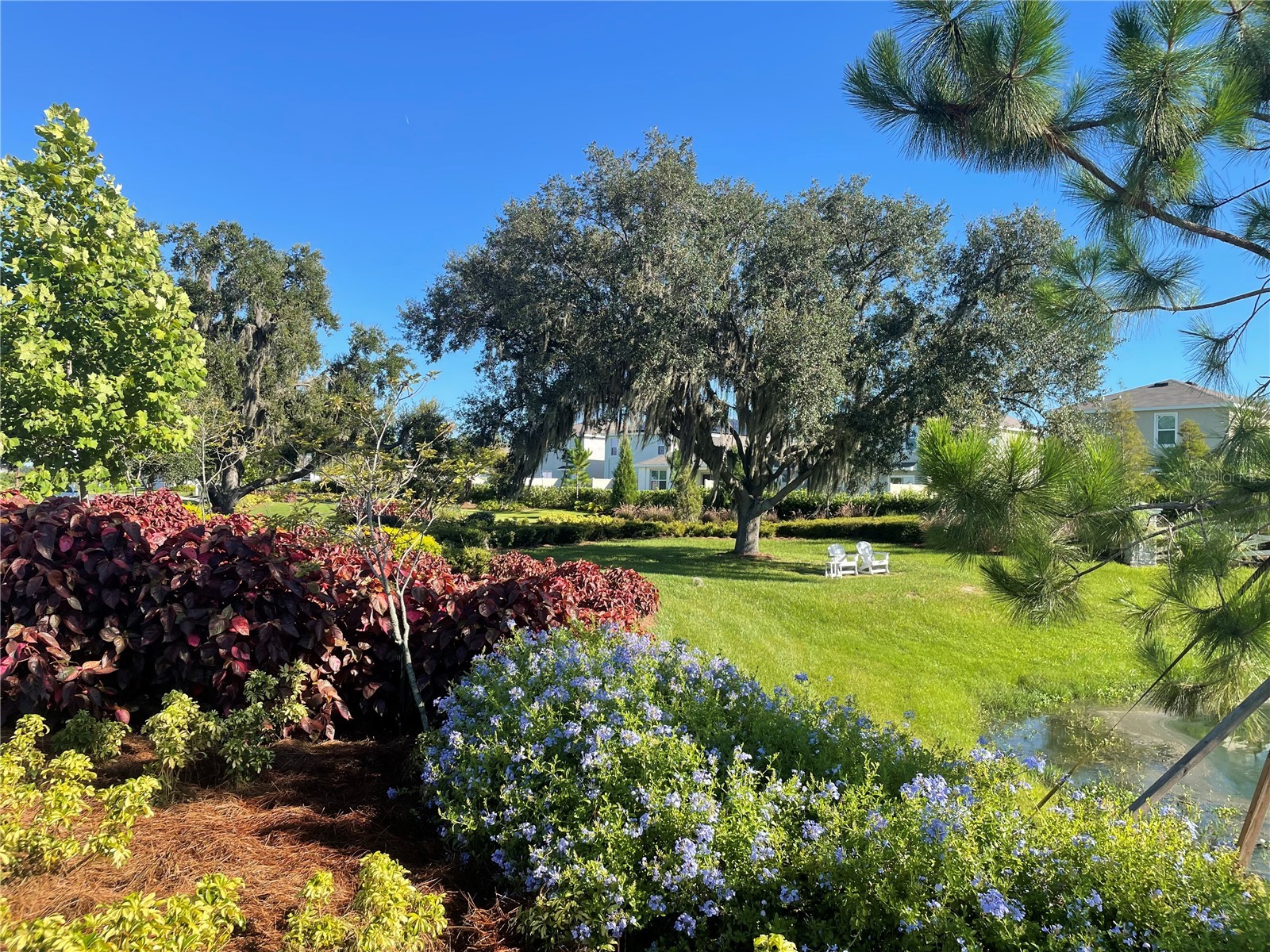 3519 Maple Grove Way Plant City FL 33565 TB8512735 image12