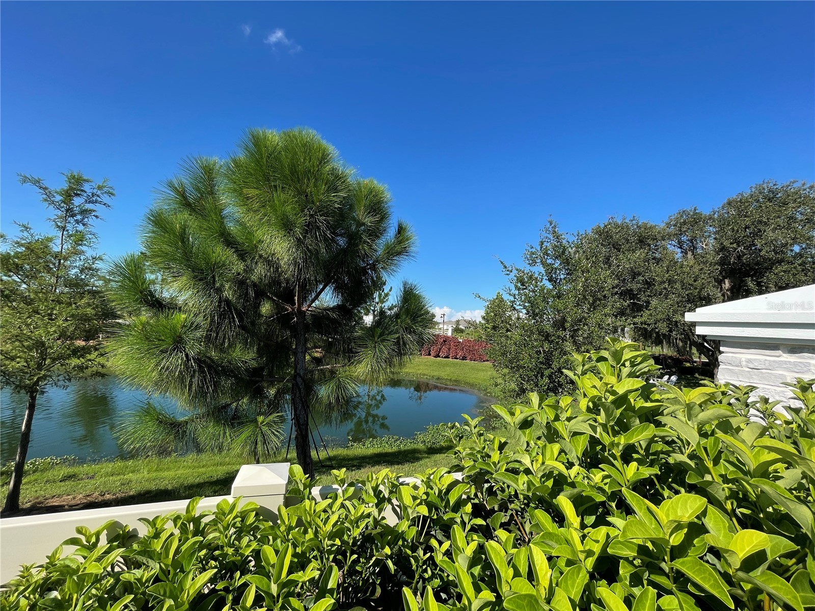 3519 Maple Grove Way Plant City FL 33565 TB8512735 image19