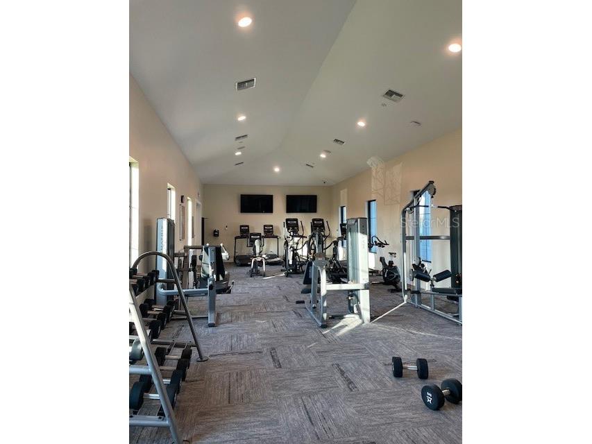 3519 Maple Grove Way Plant City FL 33565 TB8512735 image31