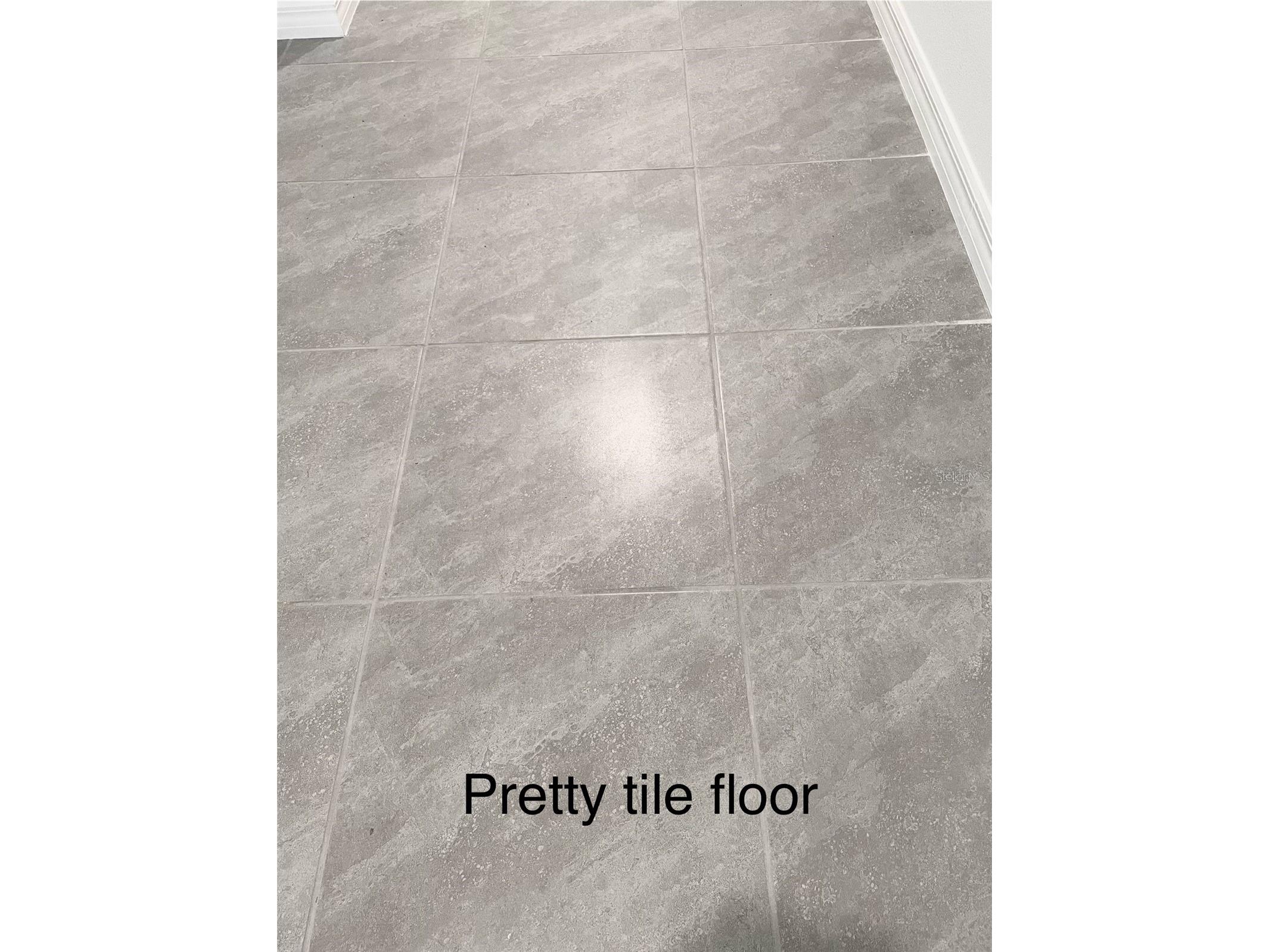 3519 Maple Grove Way Plant City FL 33565 TB8512735 image42