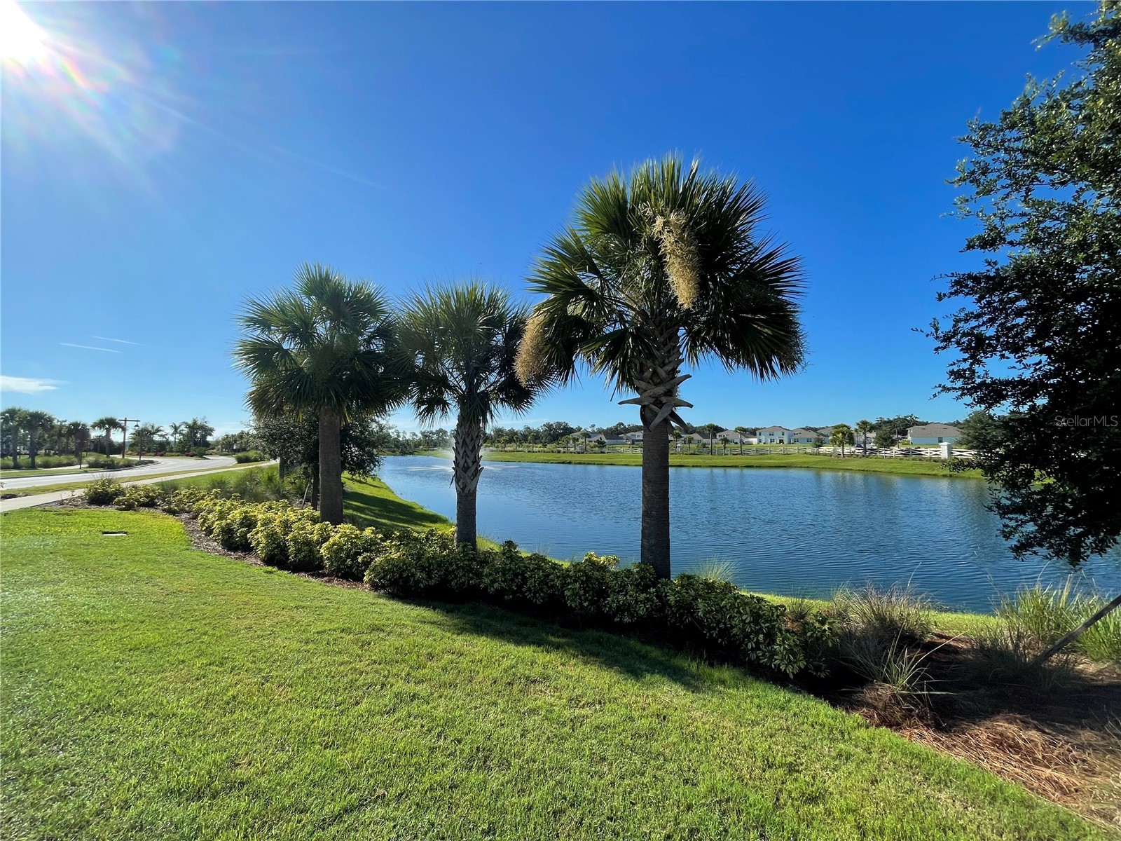 3519 Maple Grove Way Plant City FL 33565 TB8512735 image9