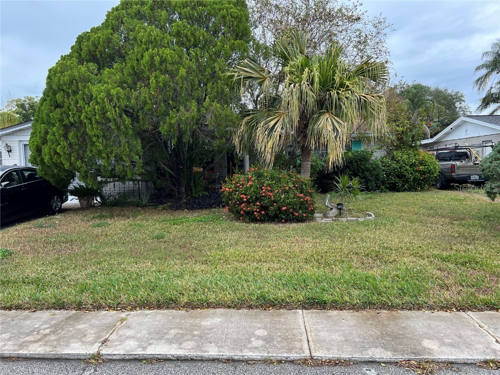 3519 Seffner Drive Holiday FL 34691 U8222125 image1