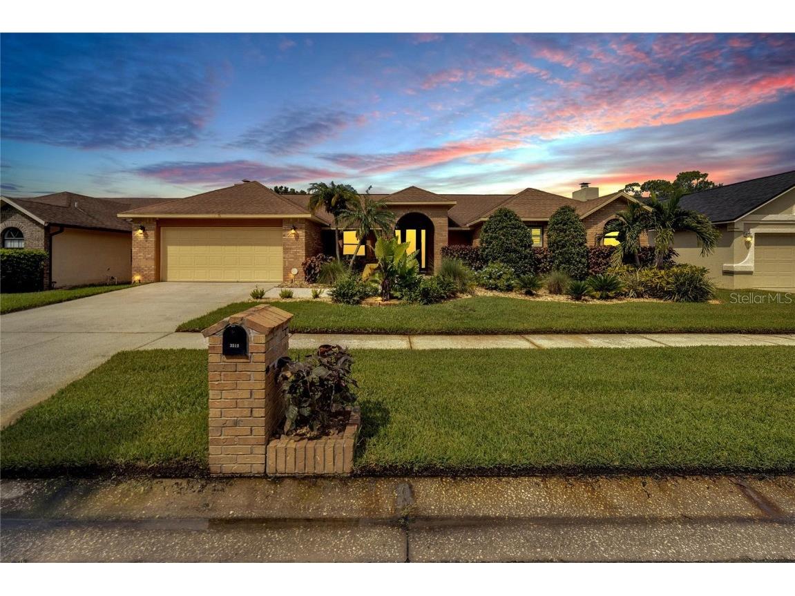 3519 Springville Drive Valrico FL 33596 T3545077 image1