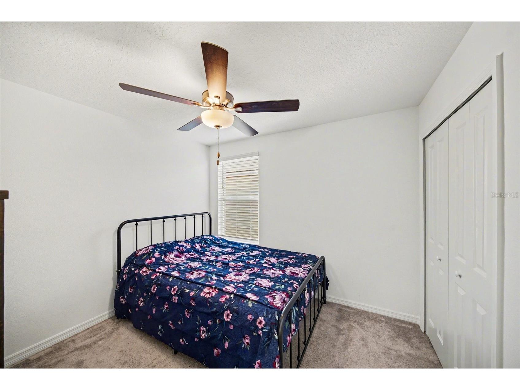 35194 Ackley Trace Zephyrhills FL 33541 TB8500073 image15
