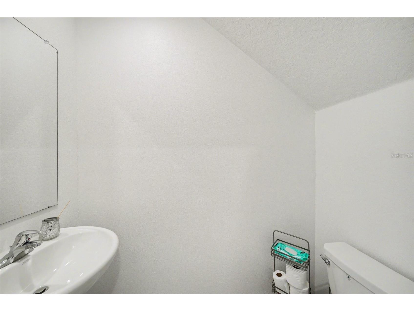 35194 Ackley Trace Zephyrhills FL 33541 TB8500073 image22