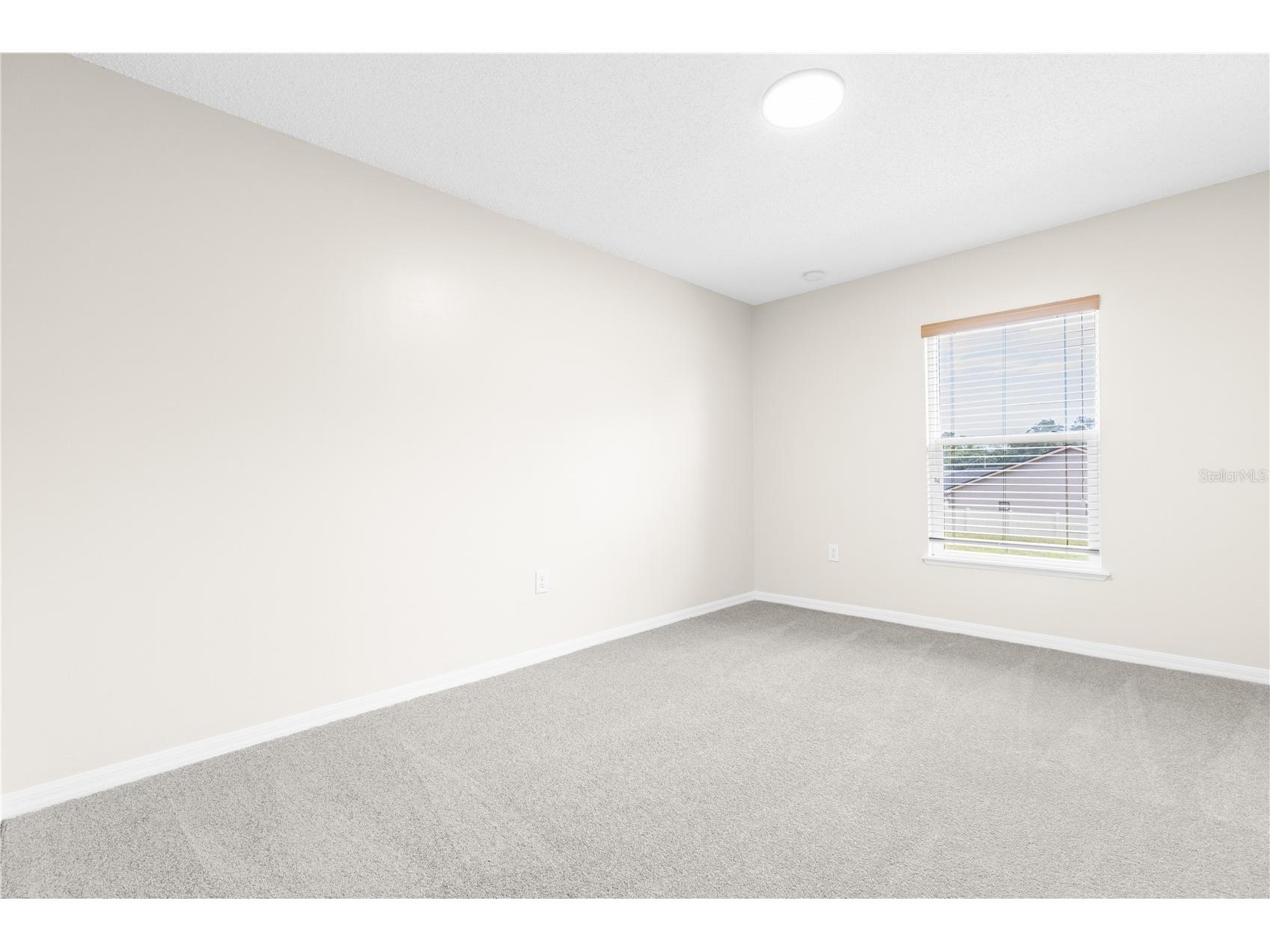 352 Clearfield Avenue Spring Hill FL 34606 TB8524482 image17