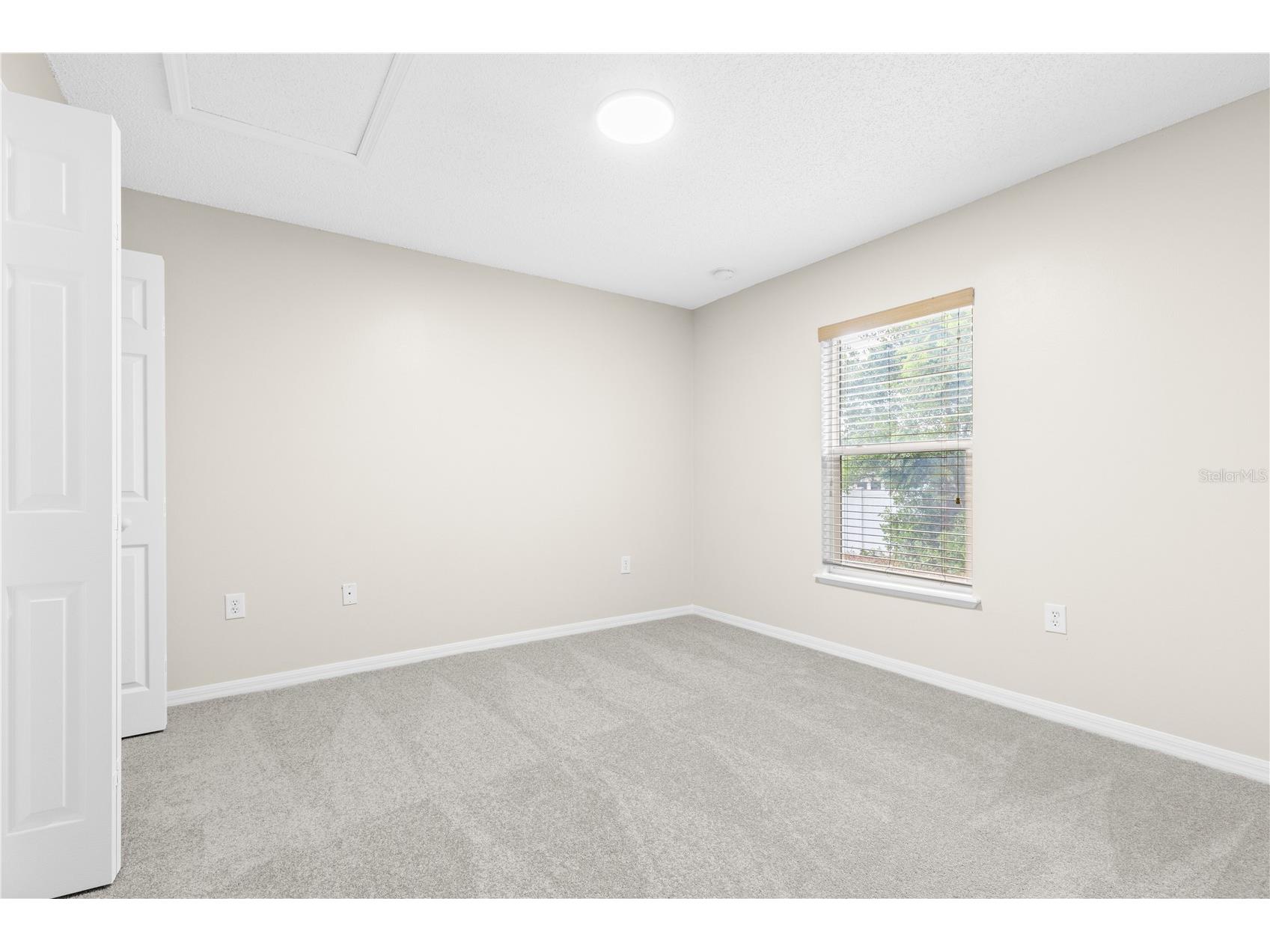 352 Clearfield Avenue Spring Hill FL 34606 TB8524482 image21
