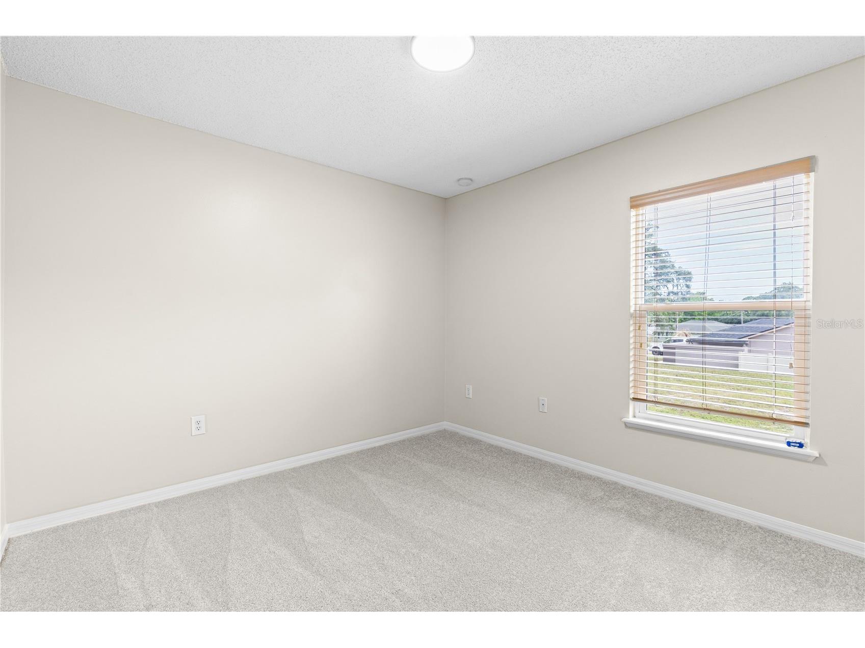 352 Clearfield Avenue Spring Hill FL 34606 TB8524482 image23