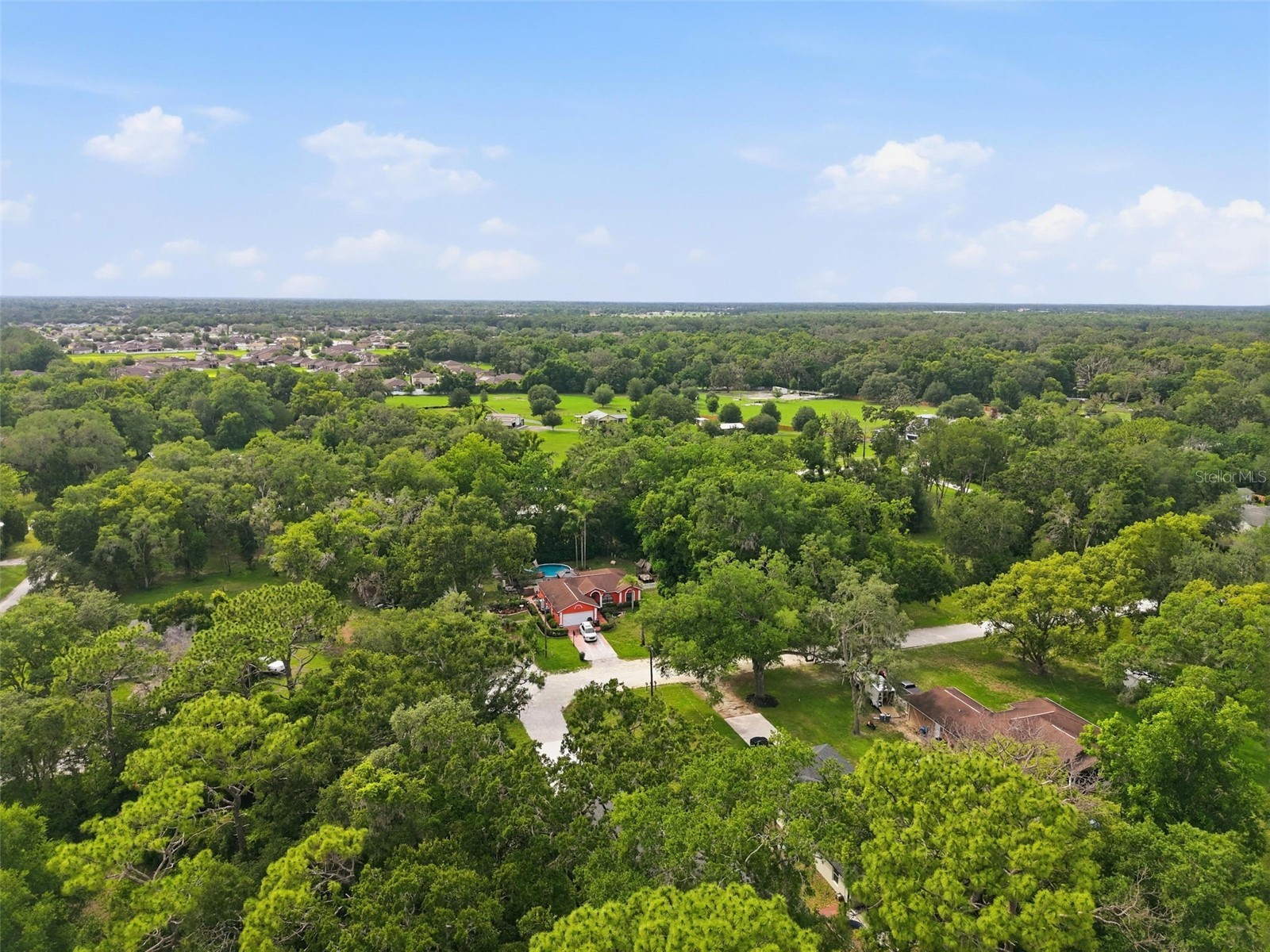 352 Garfield Avenue Masaryktown FL 34604 W7886450 image55