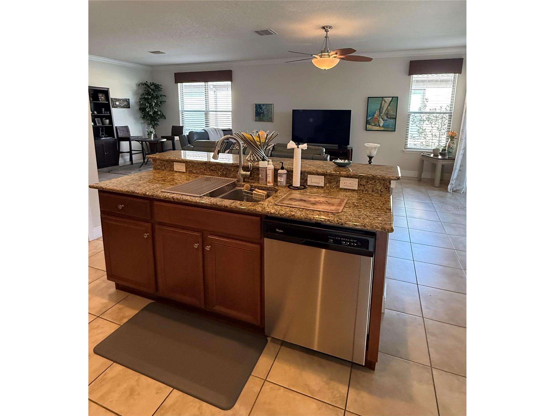 352 Laurel Falls Drive Apollo Beach FL 33572 TB8494650 image17