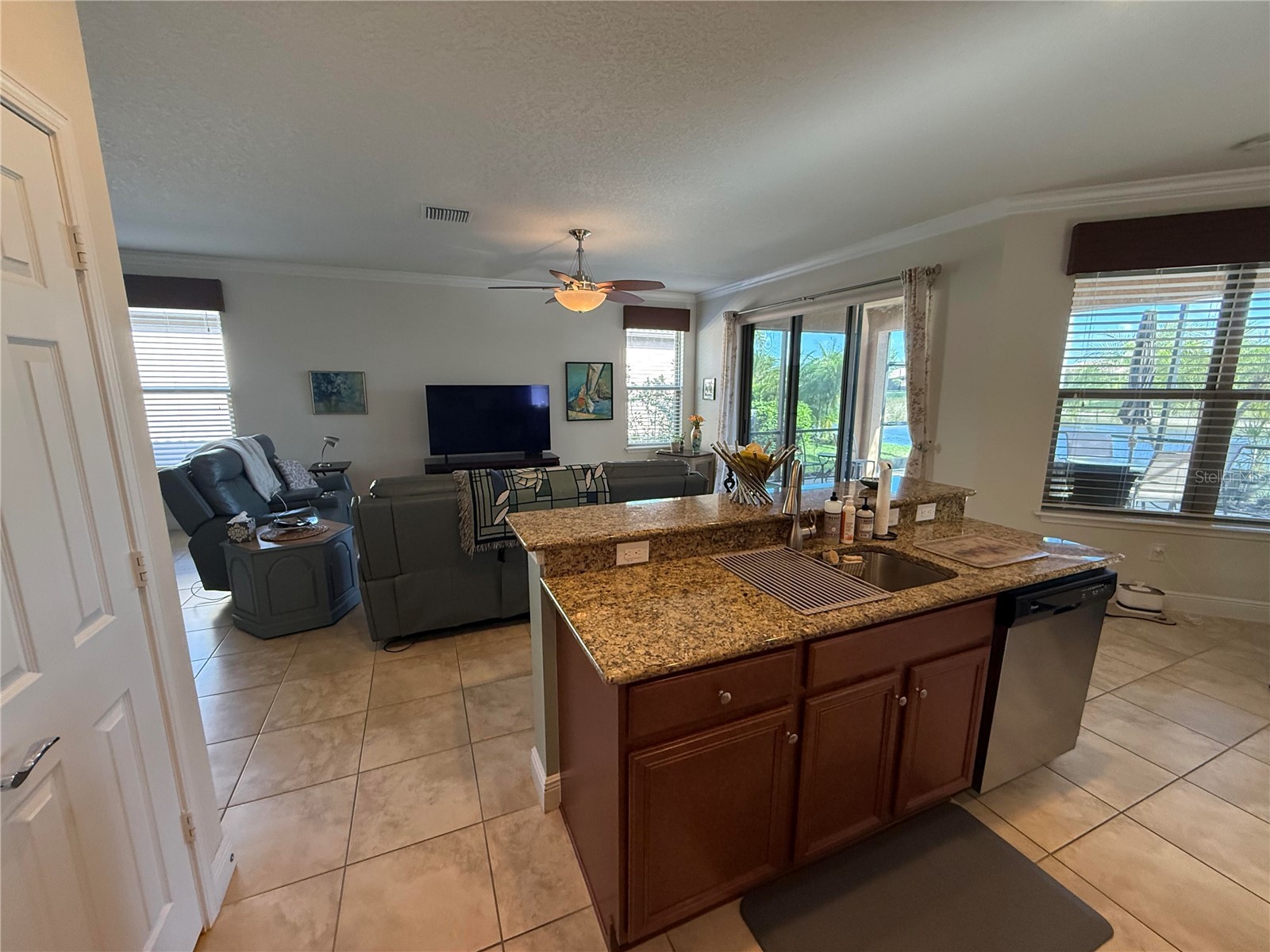 352 Laurel Falls Drive Apollo Beach FL 33572 TB8494650 image18
