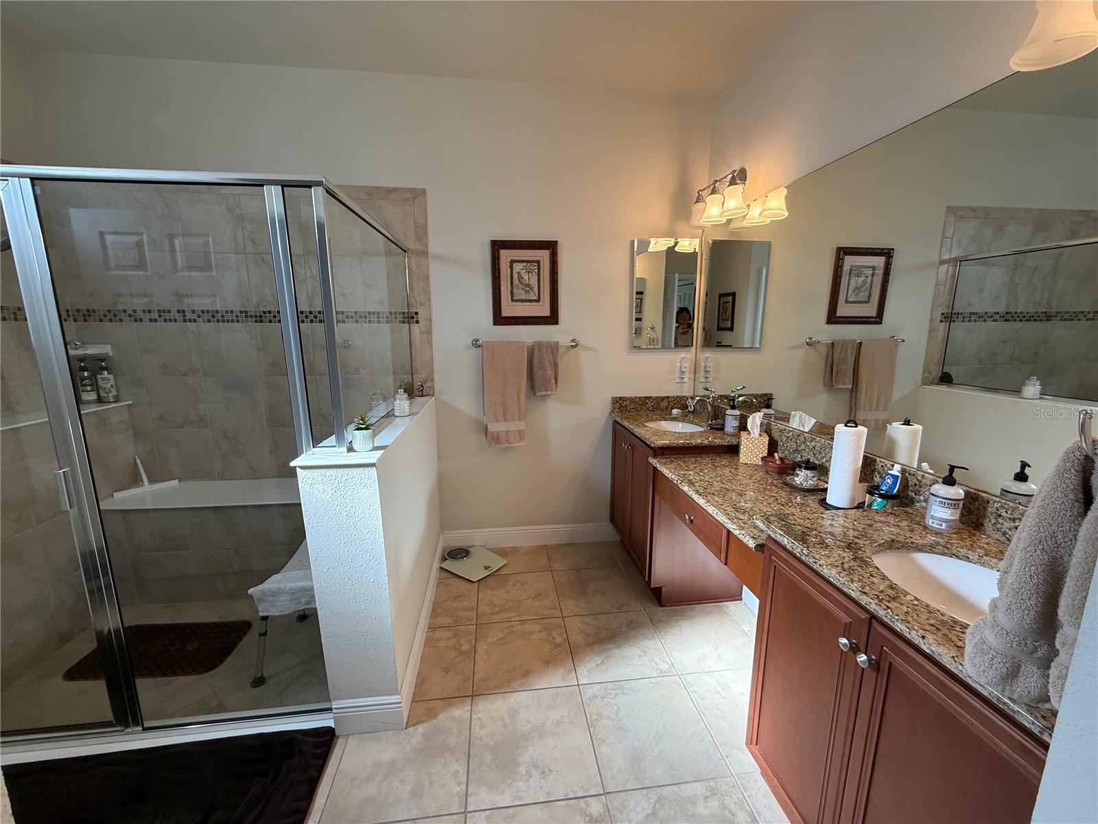352 Laurel Falls Drive Apollo Beach FL 33572 TB8494650 image33