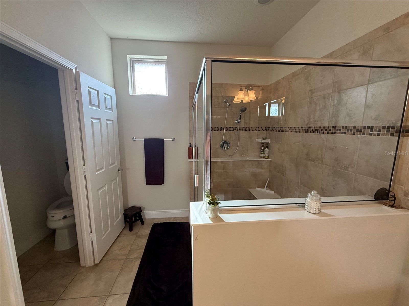 352 Laurel Falls Drive Apollo Beach FL 33572 TB8494650 image34