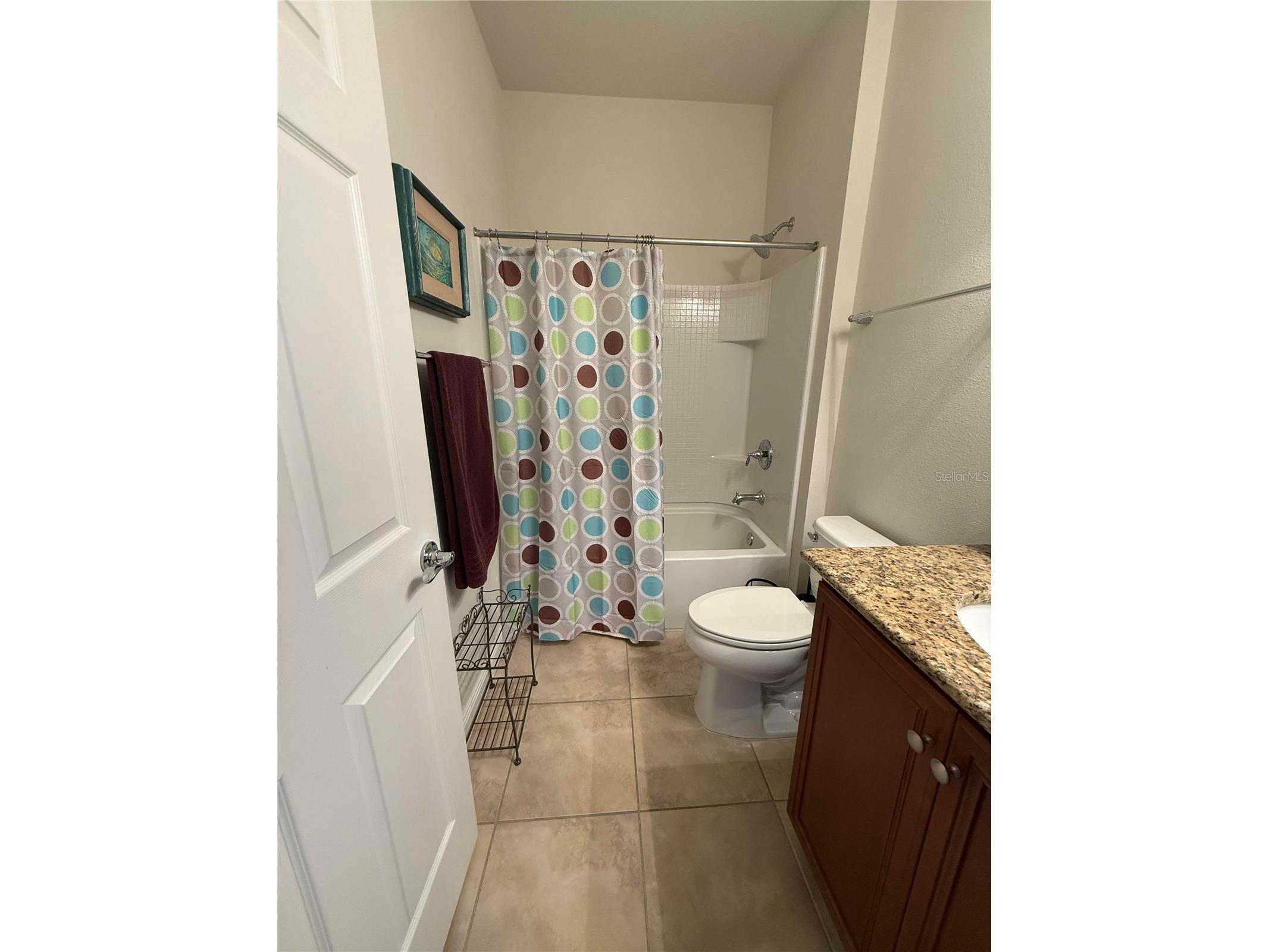 352 Laurel Falls Drive Apollo Beach FL 33572 TB8494650 image37