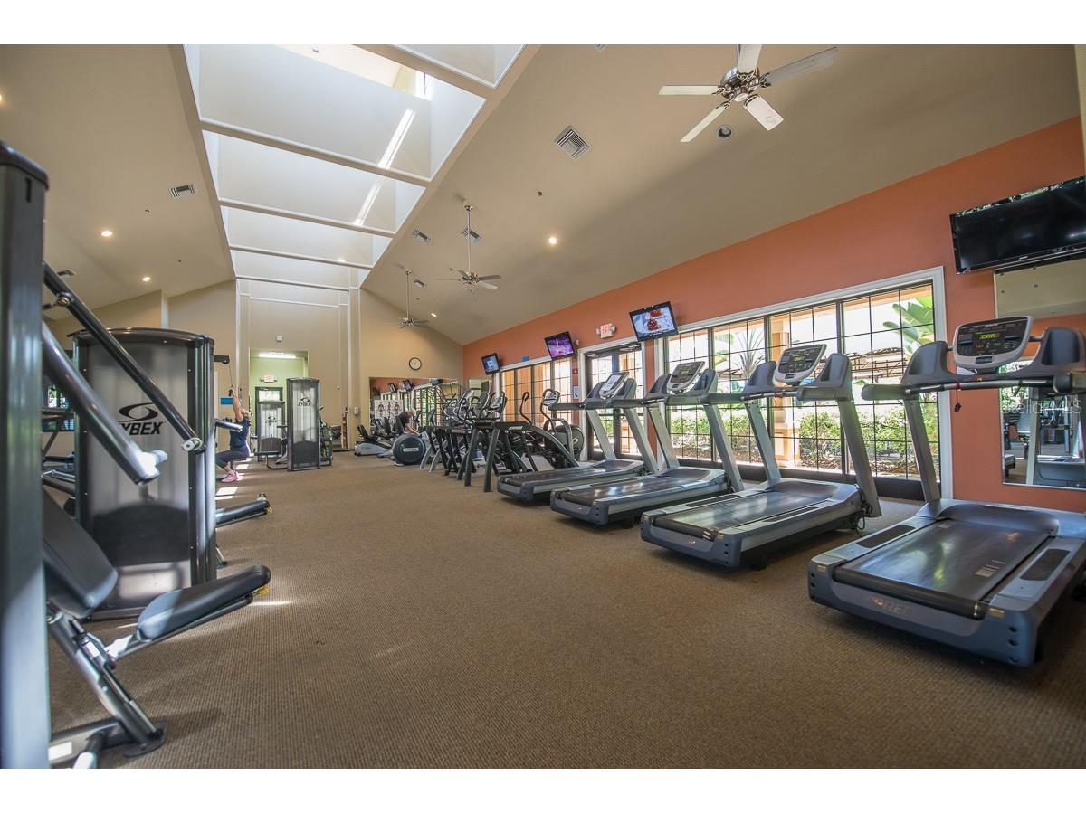 352 Laurel Falls Drive Apollo Beach FL 33572 TB8494650 image46
