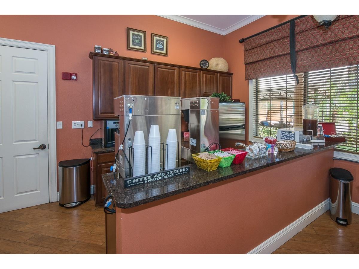 352 Laurel Falls Drive Apollo Beach FL 33572 TB8494650 image47