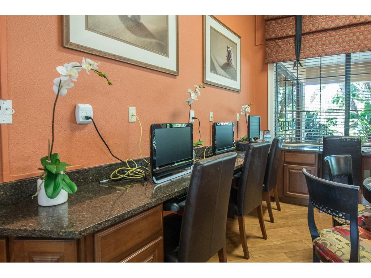 352 Laurel Falls Drive Apollo Beach FL 33572 TB8494650 image48