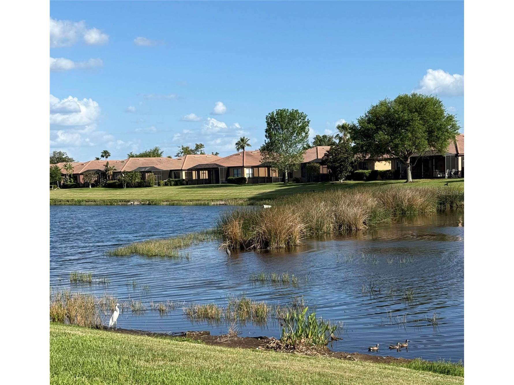 352 Laurel Falls Drive Apollo Beach FL 33572 TB8494650 image5