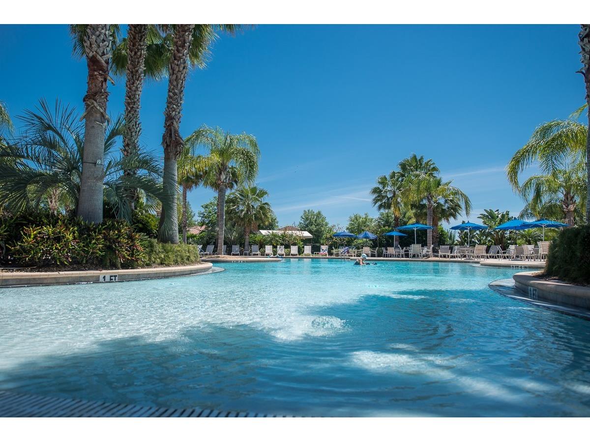 352 Laurel Falls Drive Apollo Beach FL 33572 TB8494650 image52