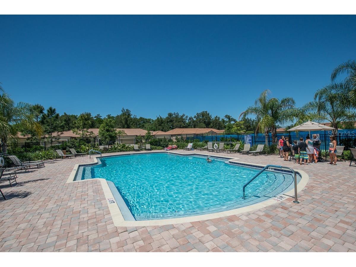 352 Laurel Falls Drive Apollo Beach FL 33572 TB8494650 image55