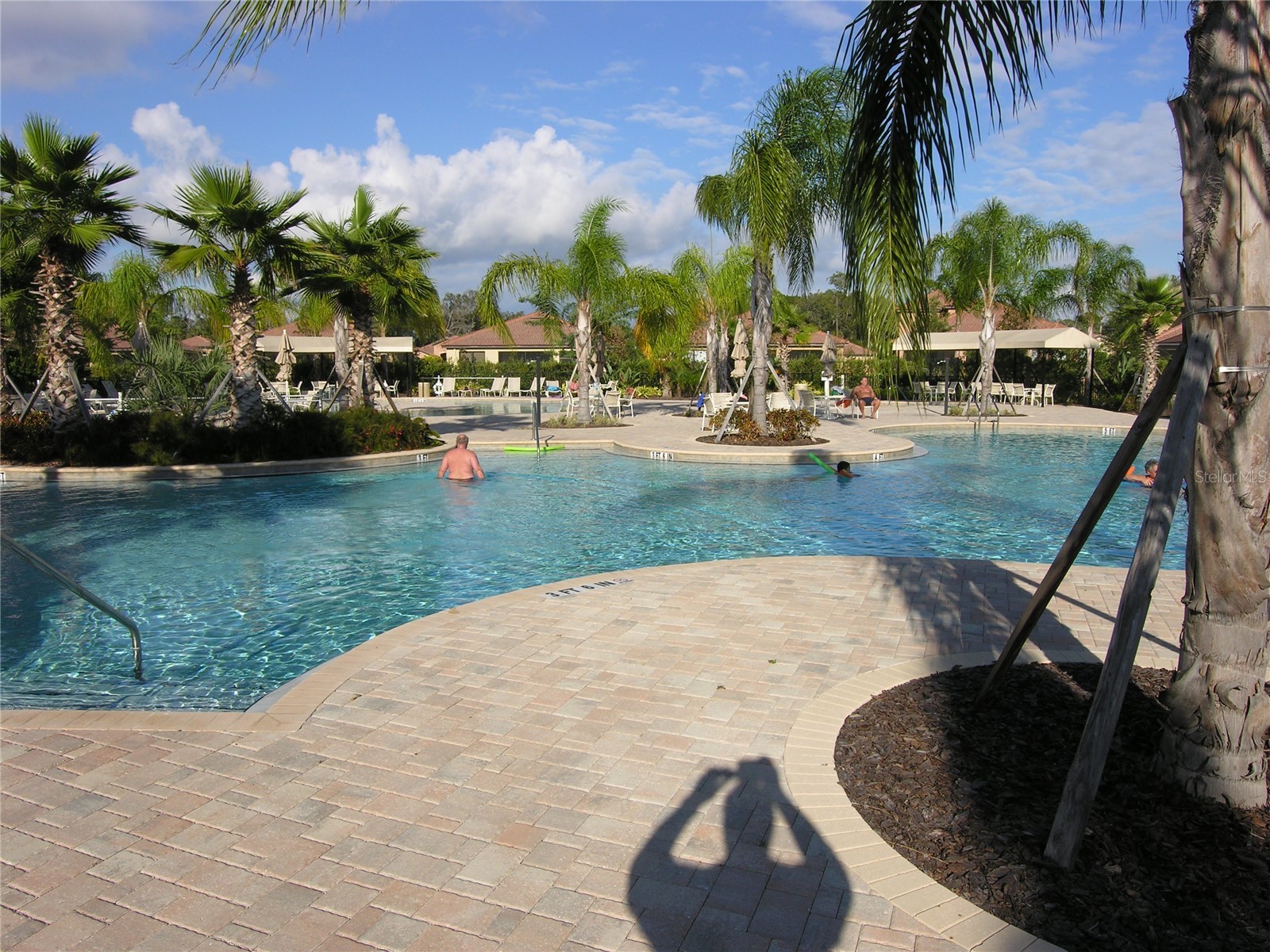 352 Laurel Falls Drive Apollo Beach FL 33572 TB8494650 image56