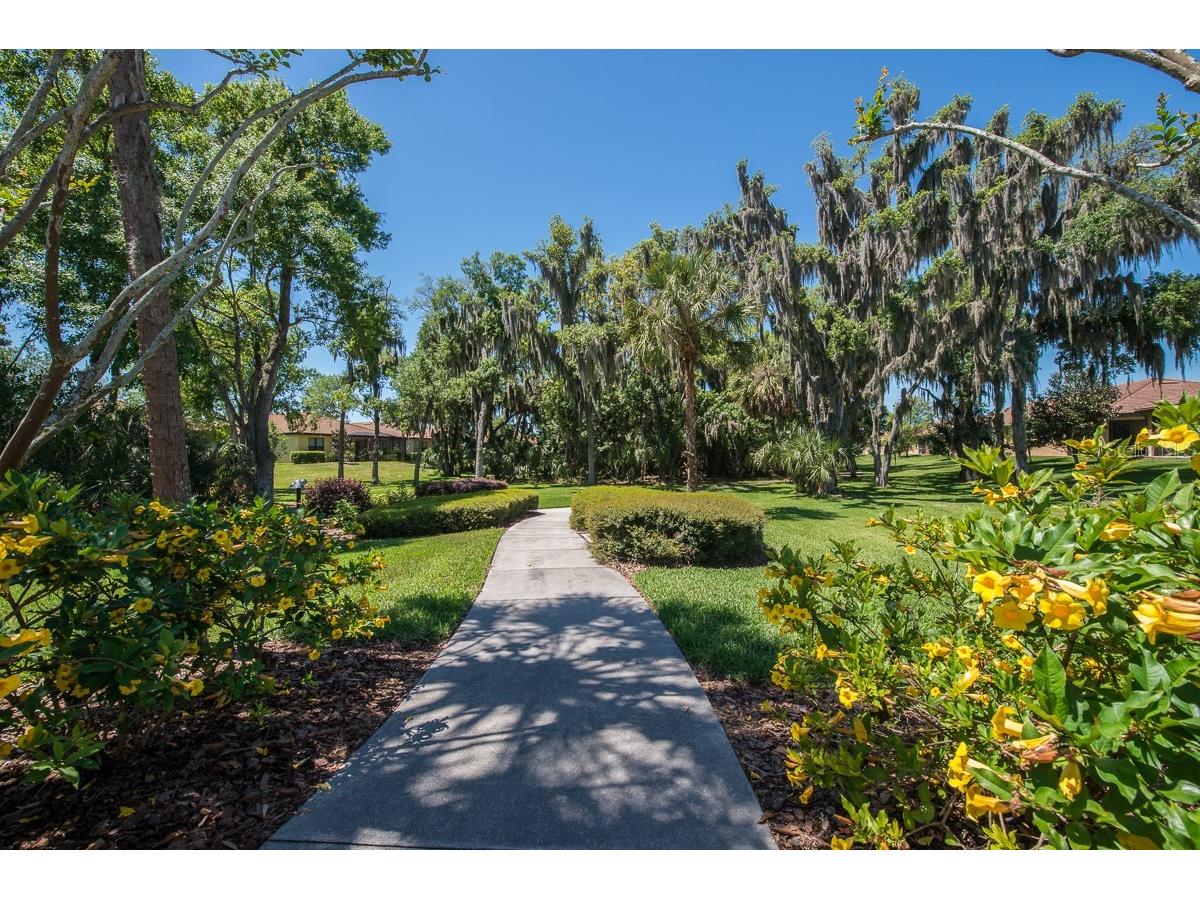 352 Laurel Falls Drive Apollo Beach FL 33572 TB8494650 image63